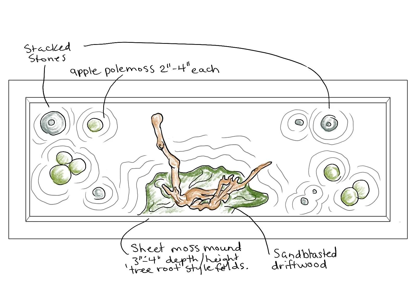Design study for a botanical object intended to bring quiet presence into a corporate interior.