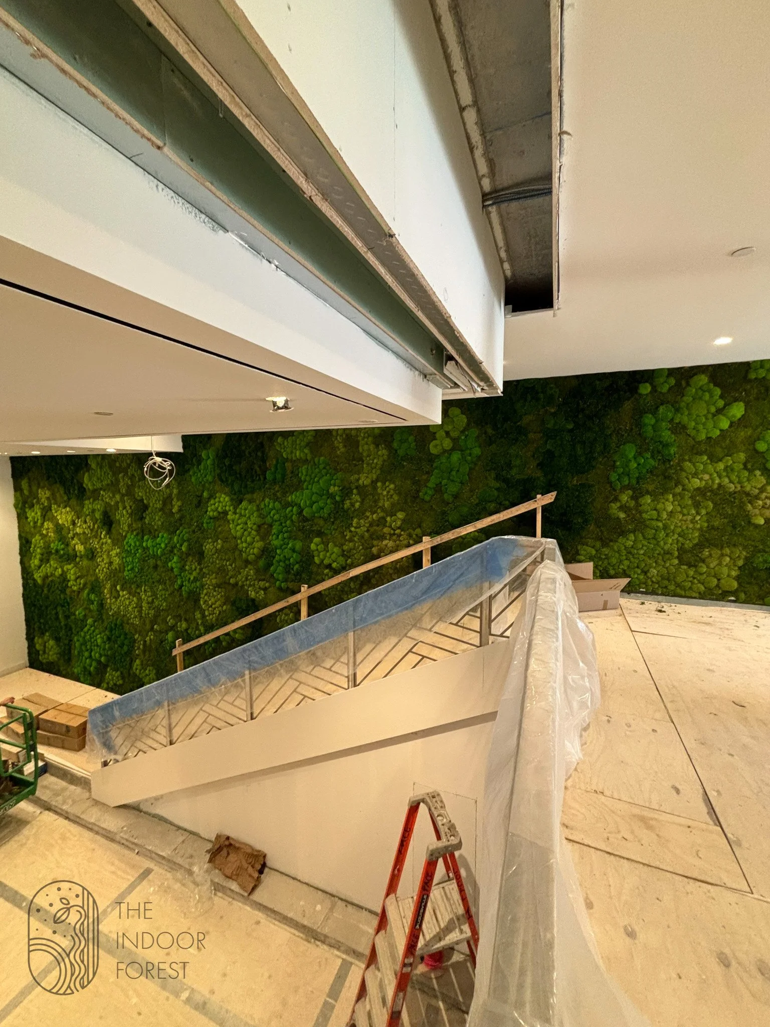 A large-scale living installation integrated into a contemporary NY office environment.