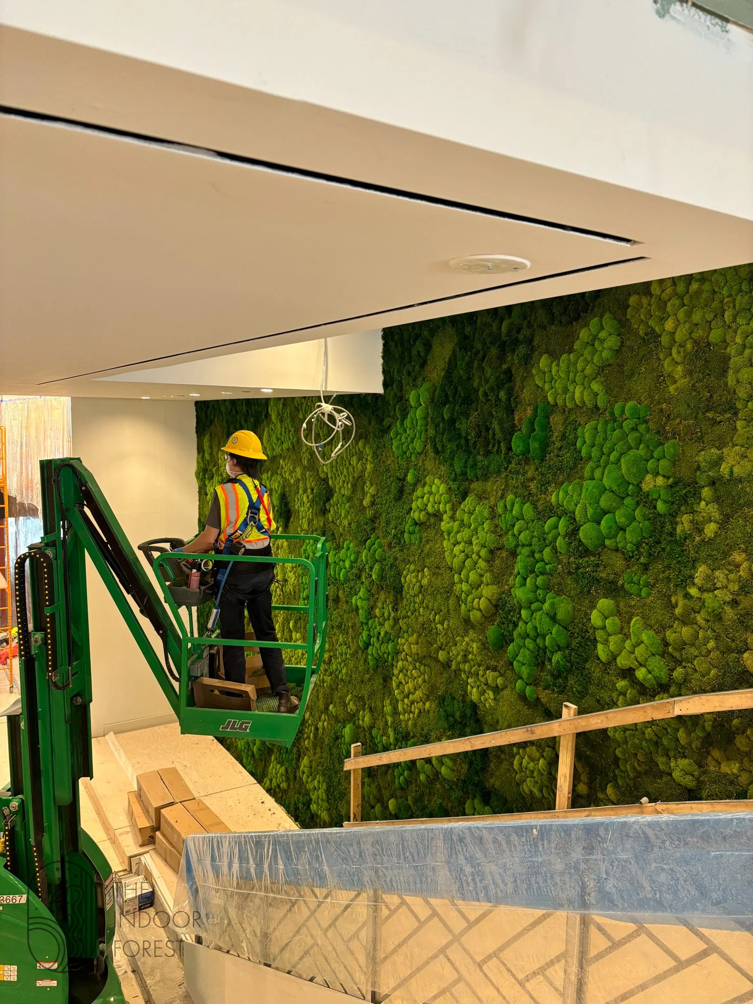 A custom installation shaping the spatial experience through natural form.