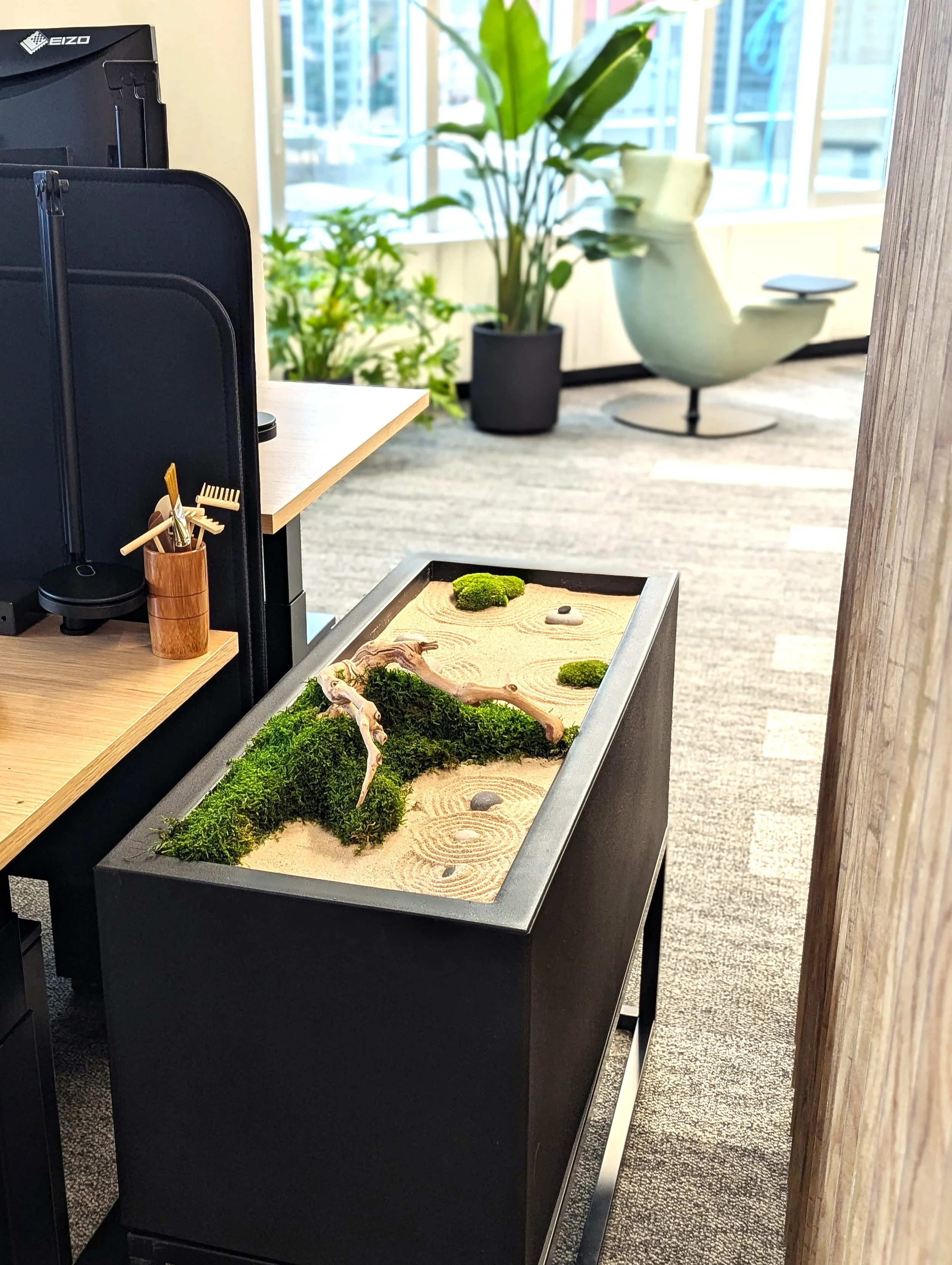A calming botanical composition designed to introduce stillness into a workplace setting.