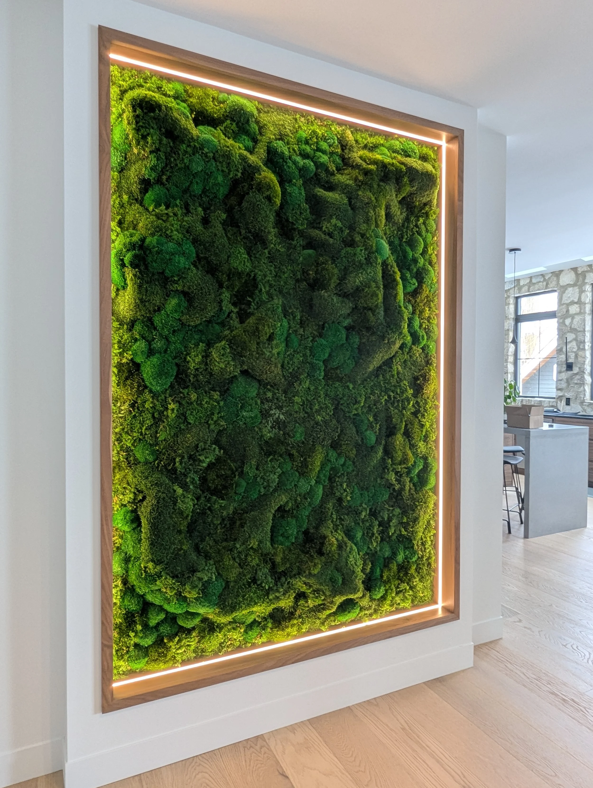 A backlit moss feature creating atmosphere through light, depth, and material contrast.