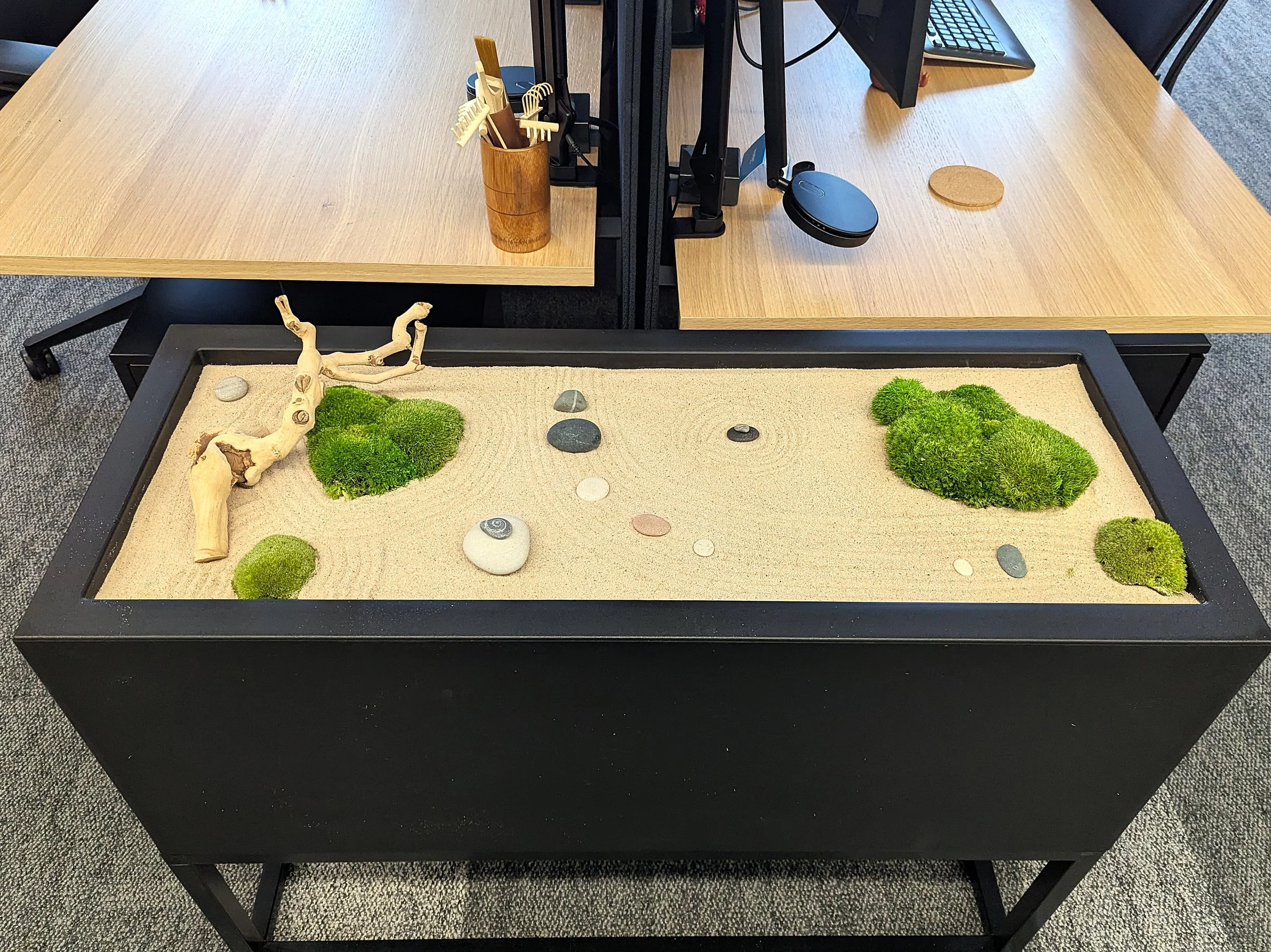 A restrained biophilic composition exploring form, texture, and calm.