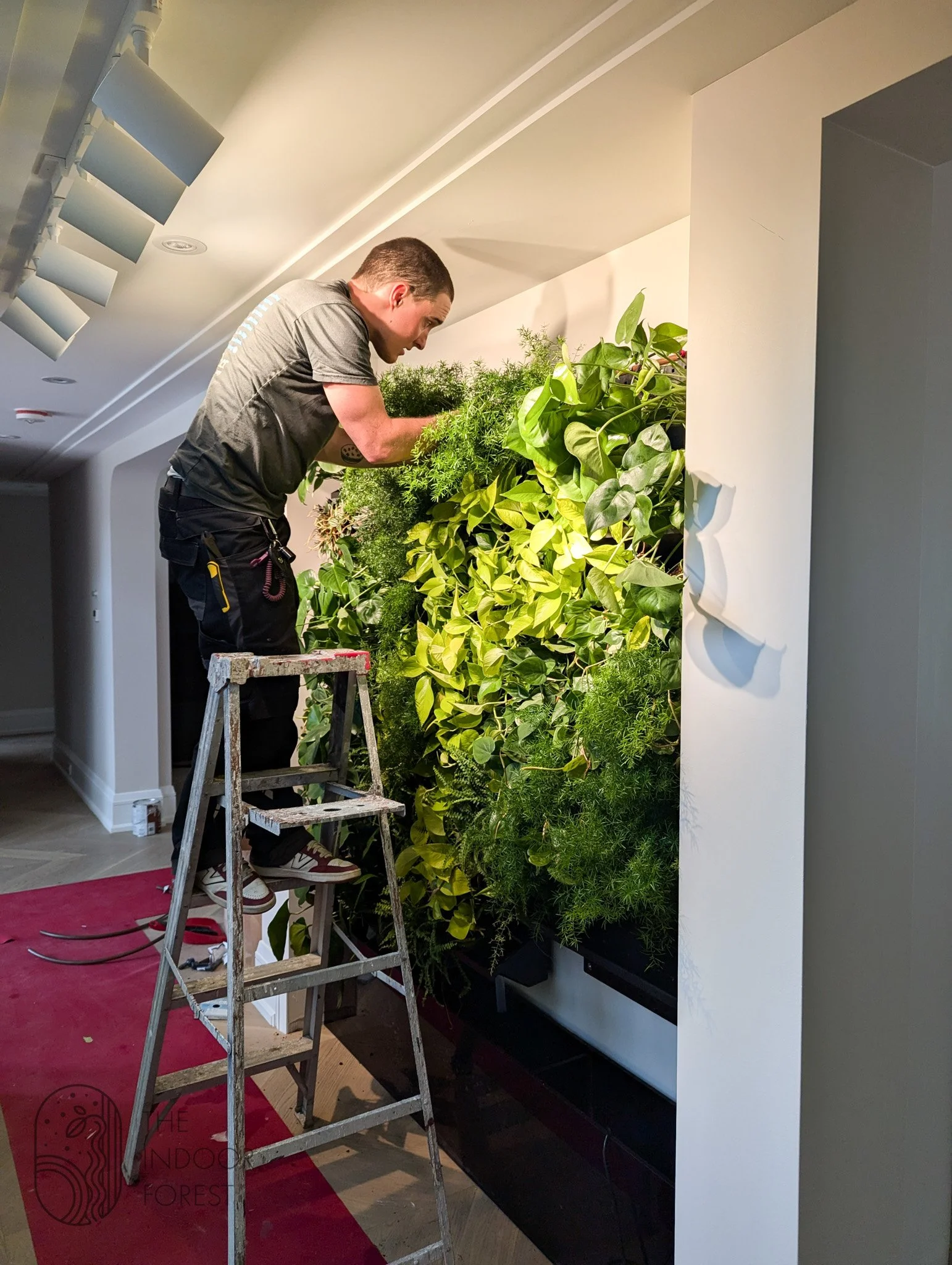 A living installation designed to integrate nature seamlessly into a private residence.