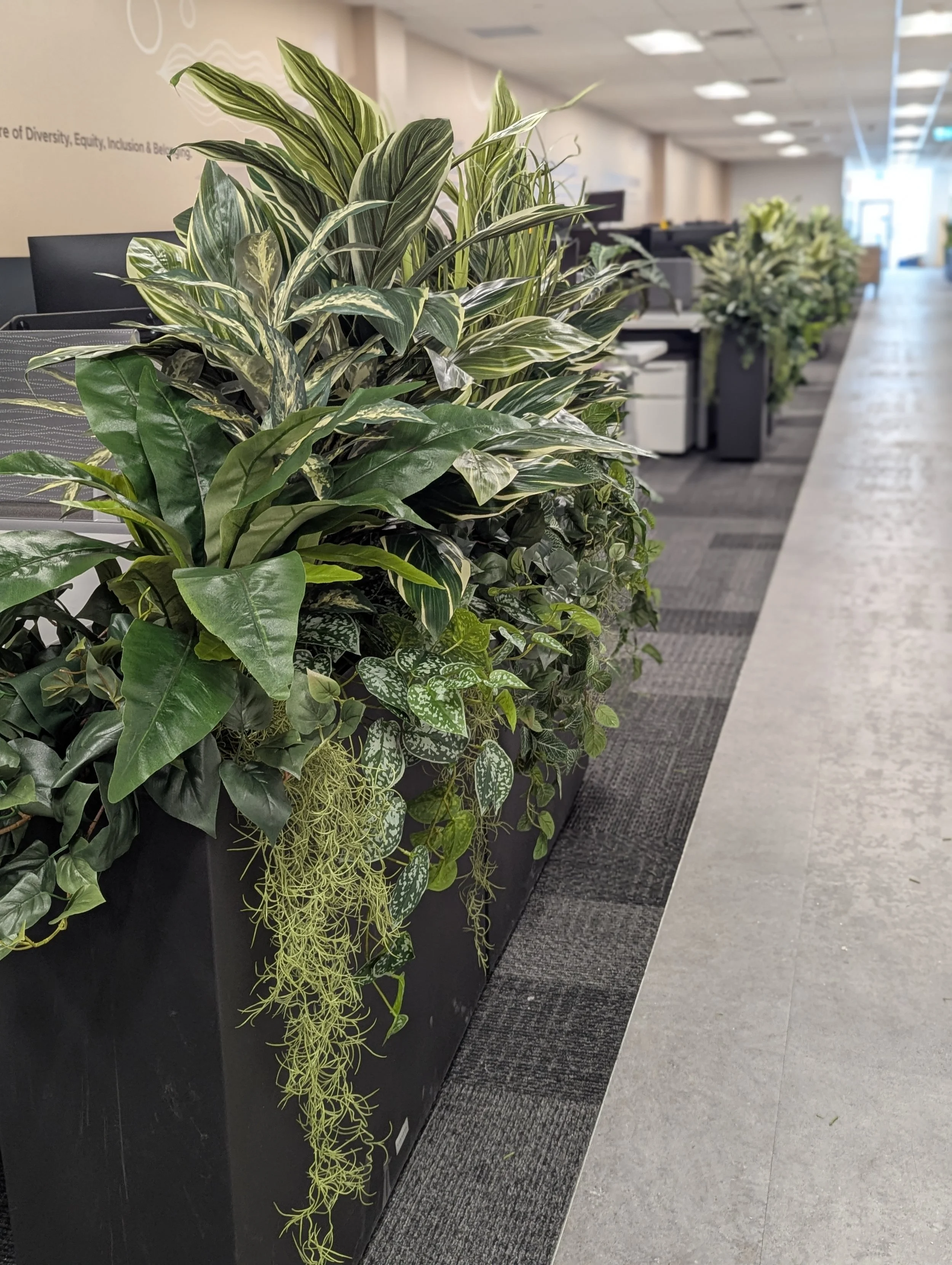 A botanical installation designed to introduce greenery where living systems are not feasible.