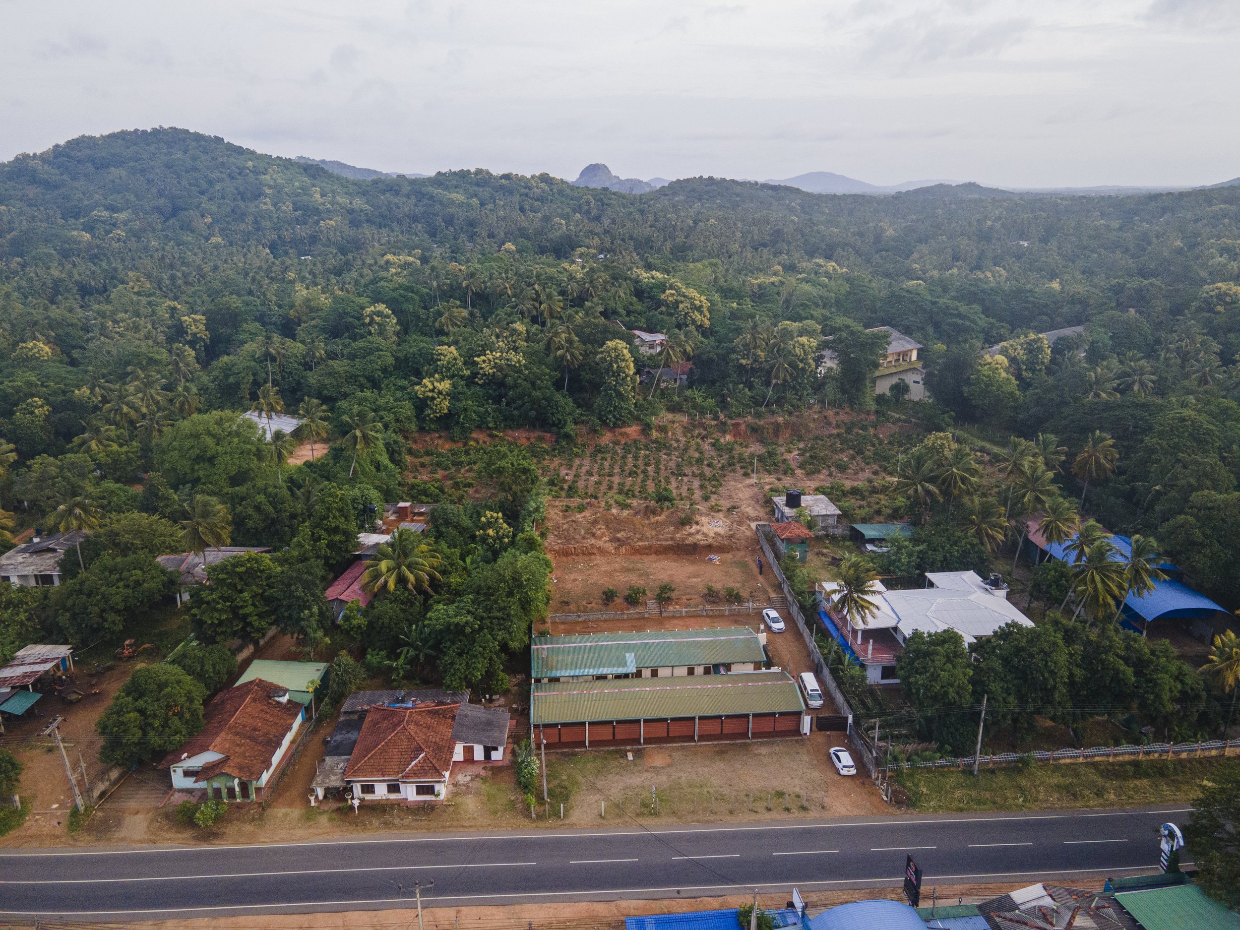 Aerial View 2024
