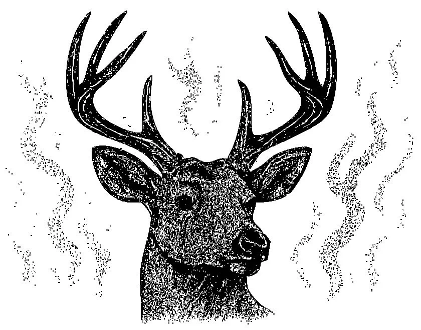 Buck Blaze - Blaze Feeds - Better feed for a better future - Whippoorwill Acres