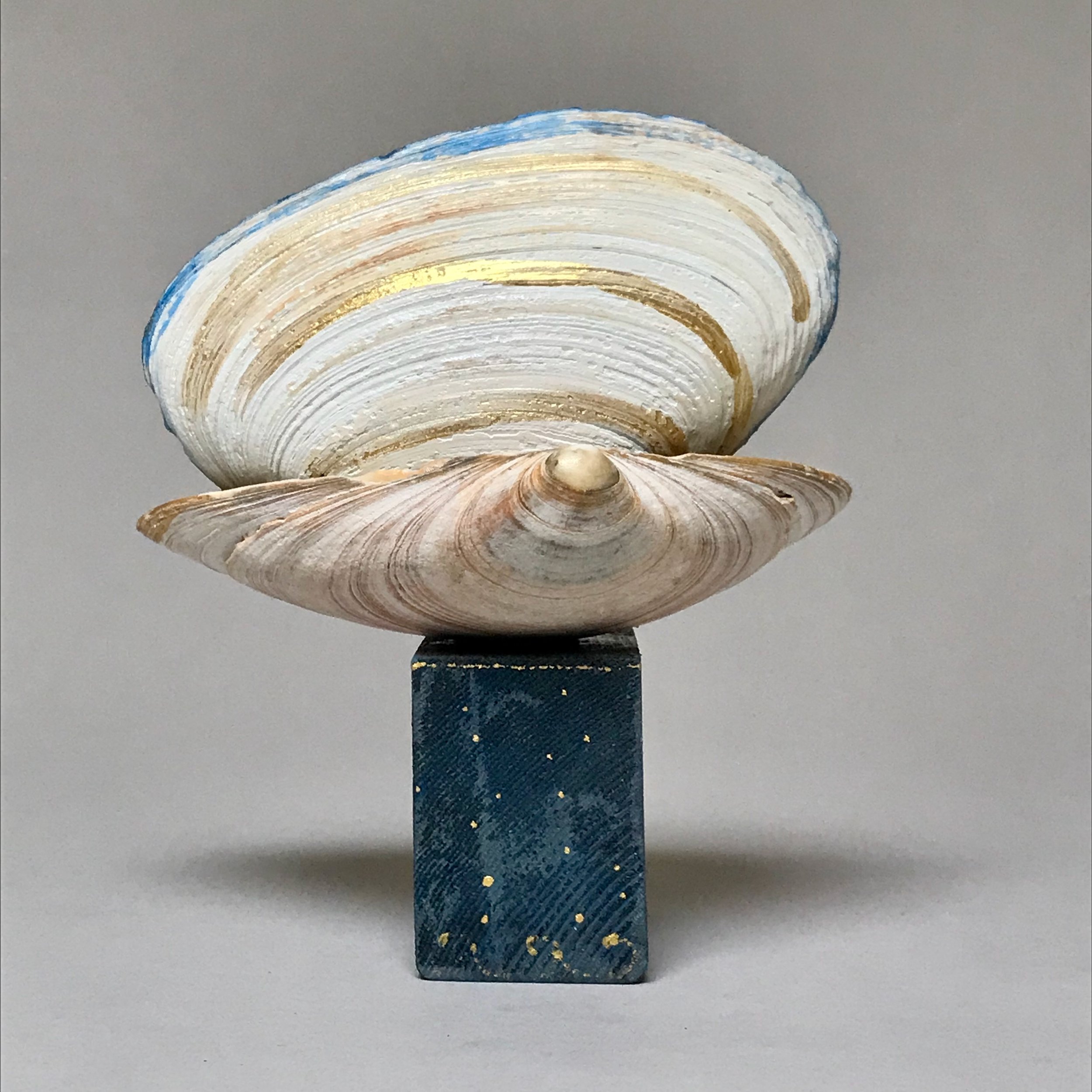 Laura-Trisiano-Ocean-Series-#11-6_hx5_wx3.75_d-mixed-media-found-object-assemblage-art-seashells-preserved-moss-old-reclaimed-wood-hand-painted-jade-buddha-one-of-a-kind-gift-meditation-yogic- (1).jpeg
