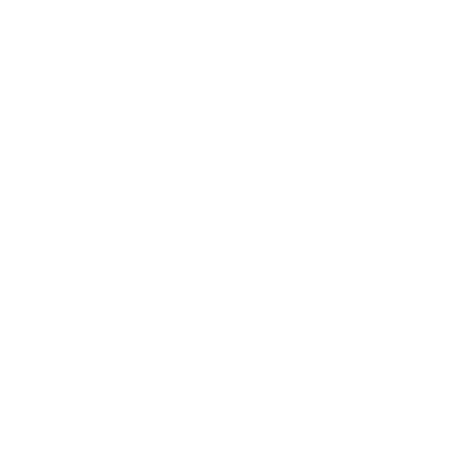 Black background with white cursive text that says "Meet Megan".