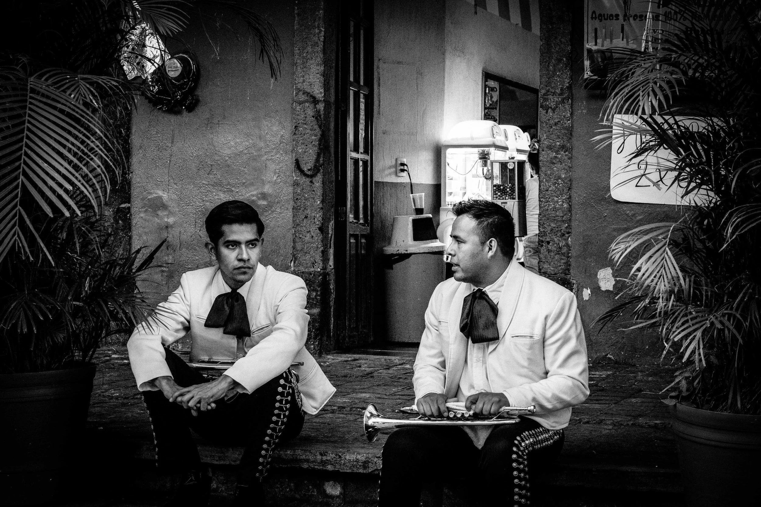 Two musicians dressed in white suits with black bow ties sitting outside on steps, one holding a trumpet and the other with a clarinet, in a dimly lit alley with plants on either side.