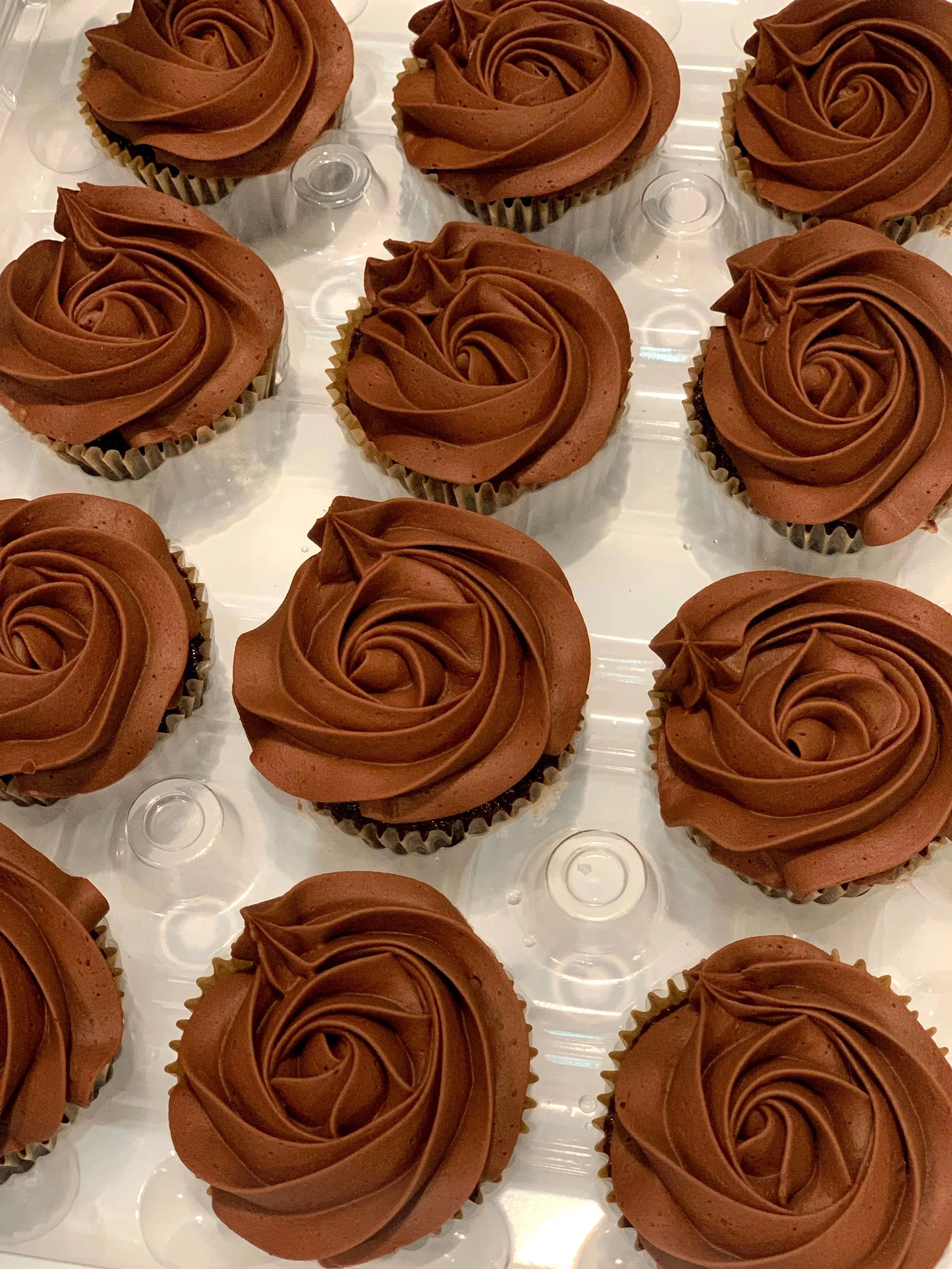 Signature Cupcakes