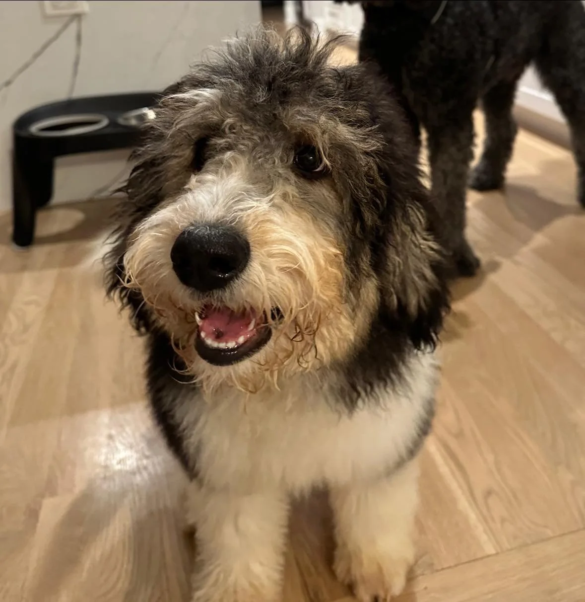 Georgia On Our Minds