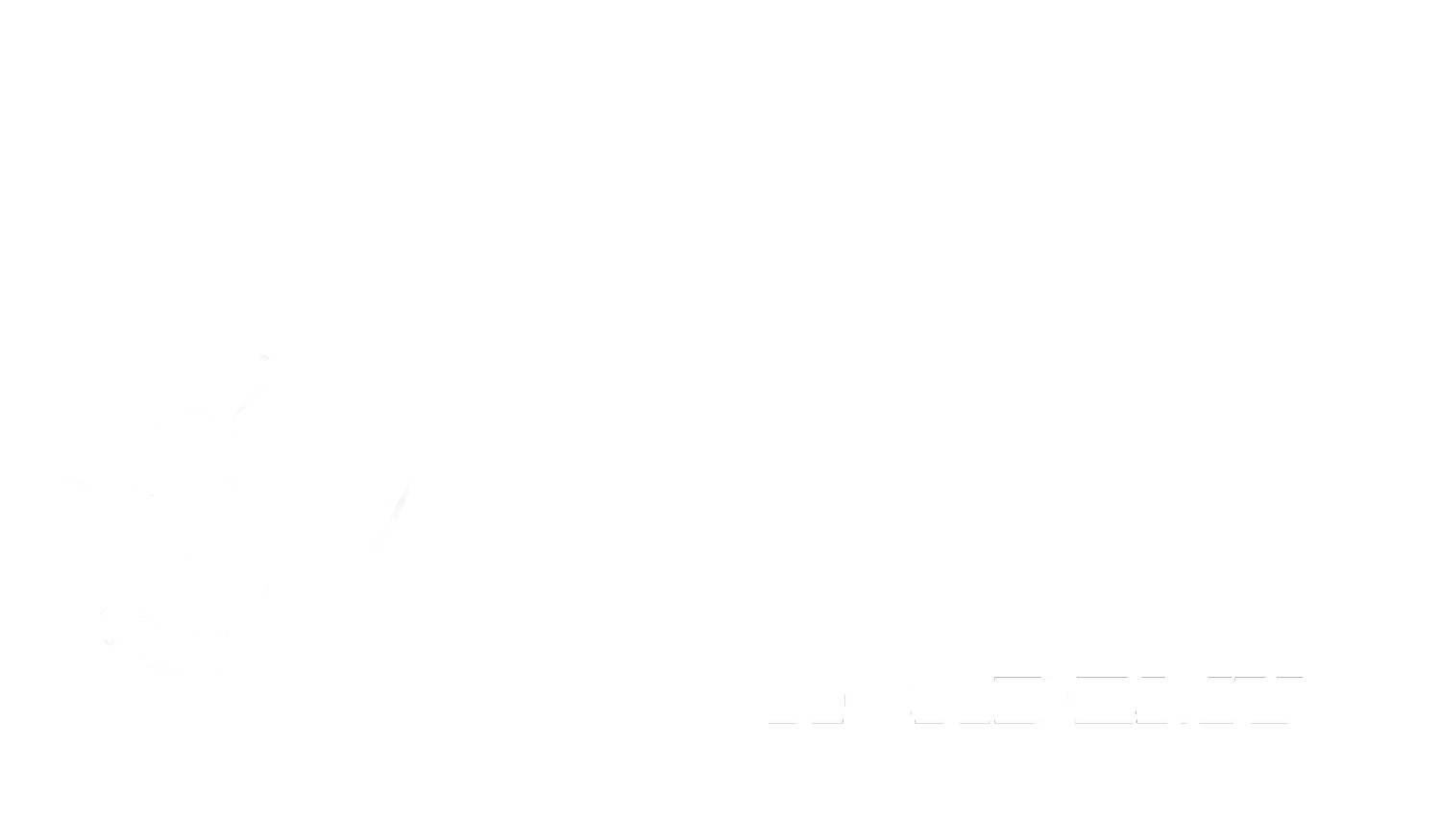 DanzAlma Academy