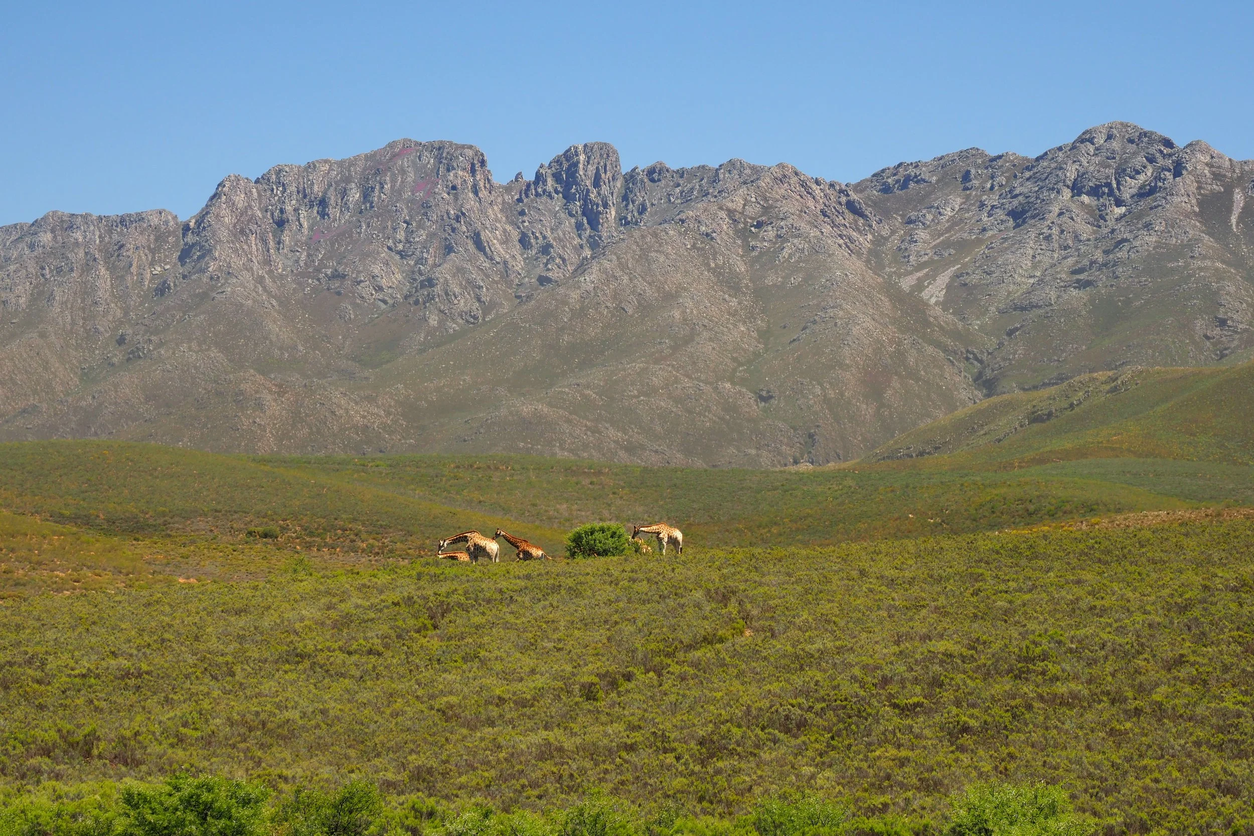 Swartberg Pass