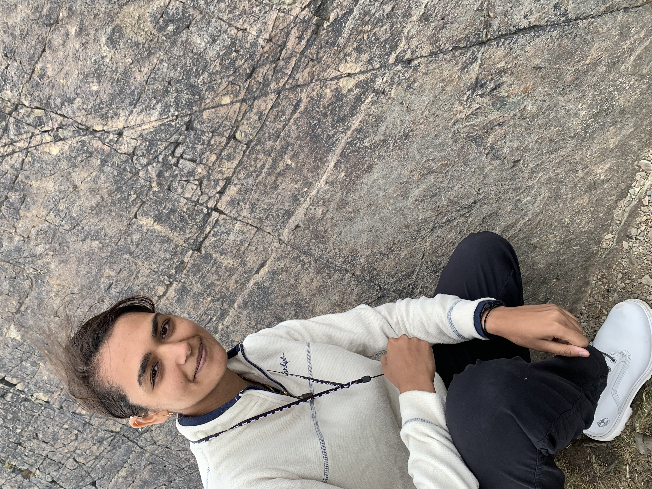 Ediacaran fossils at Charnwood Forest, UK