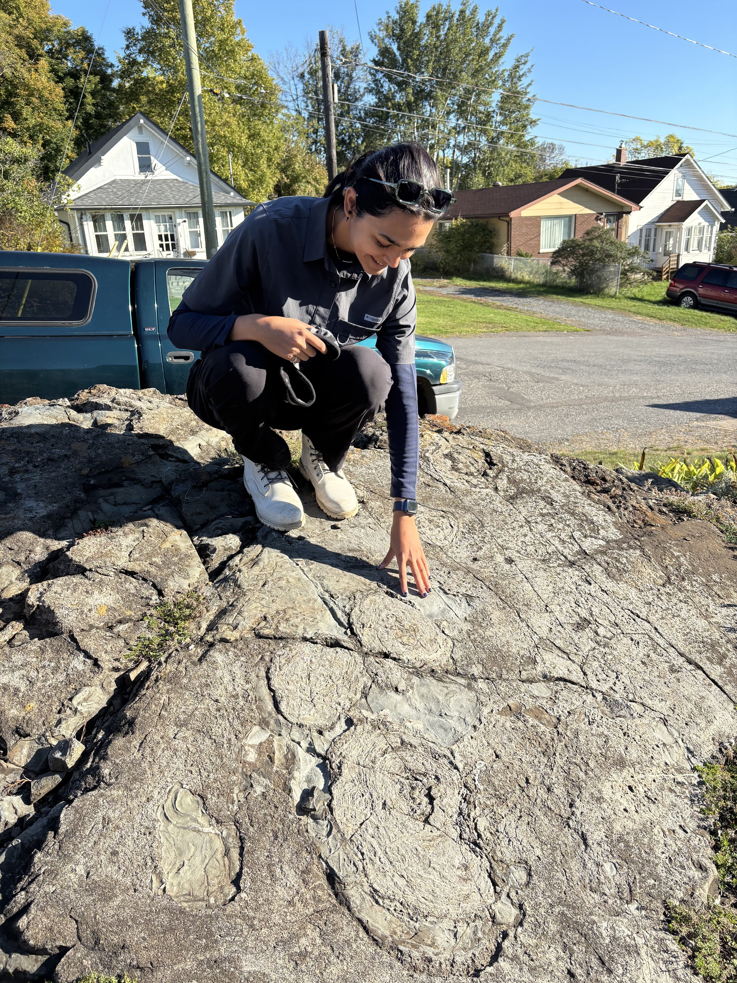 Gunflint Stromatolites