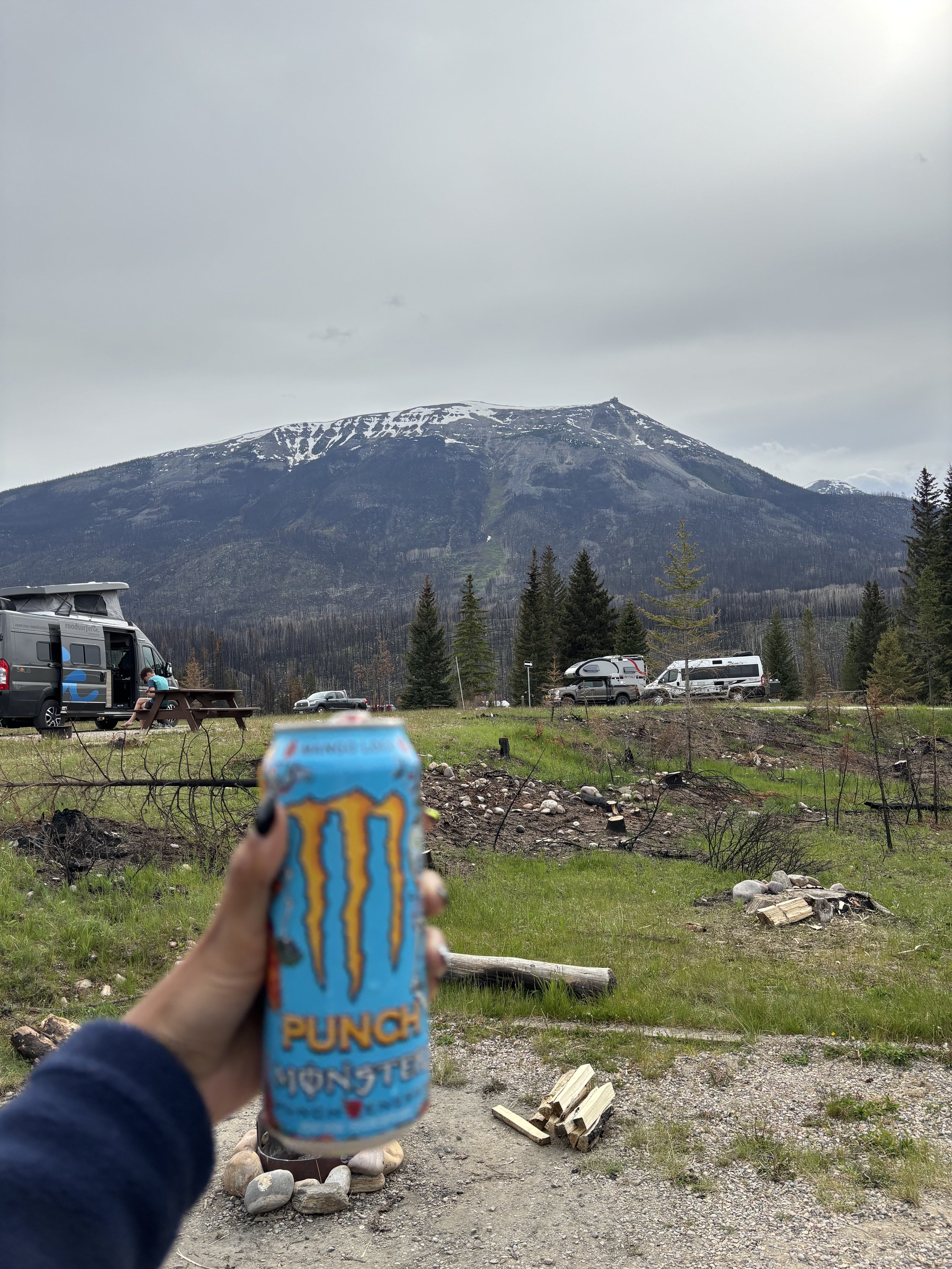 Jasper Fieldwork 2025