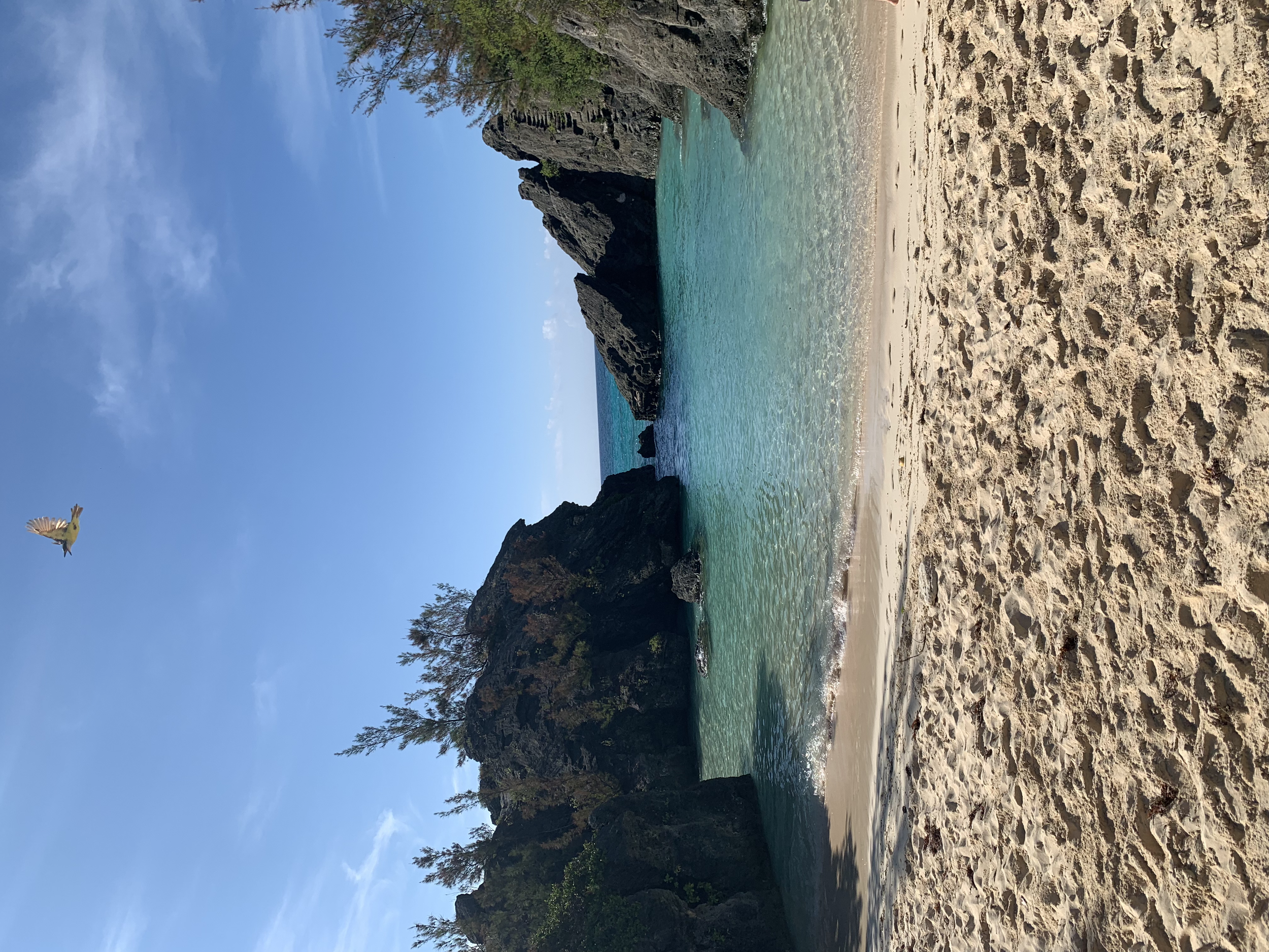 Aeolianite Beach, Bermuda