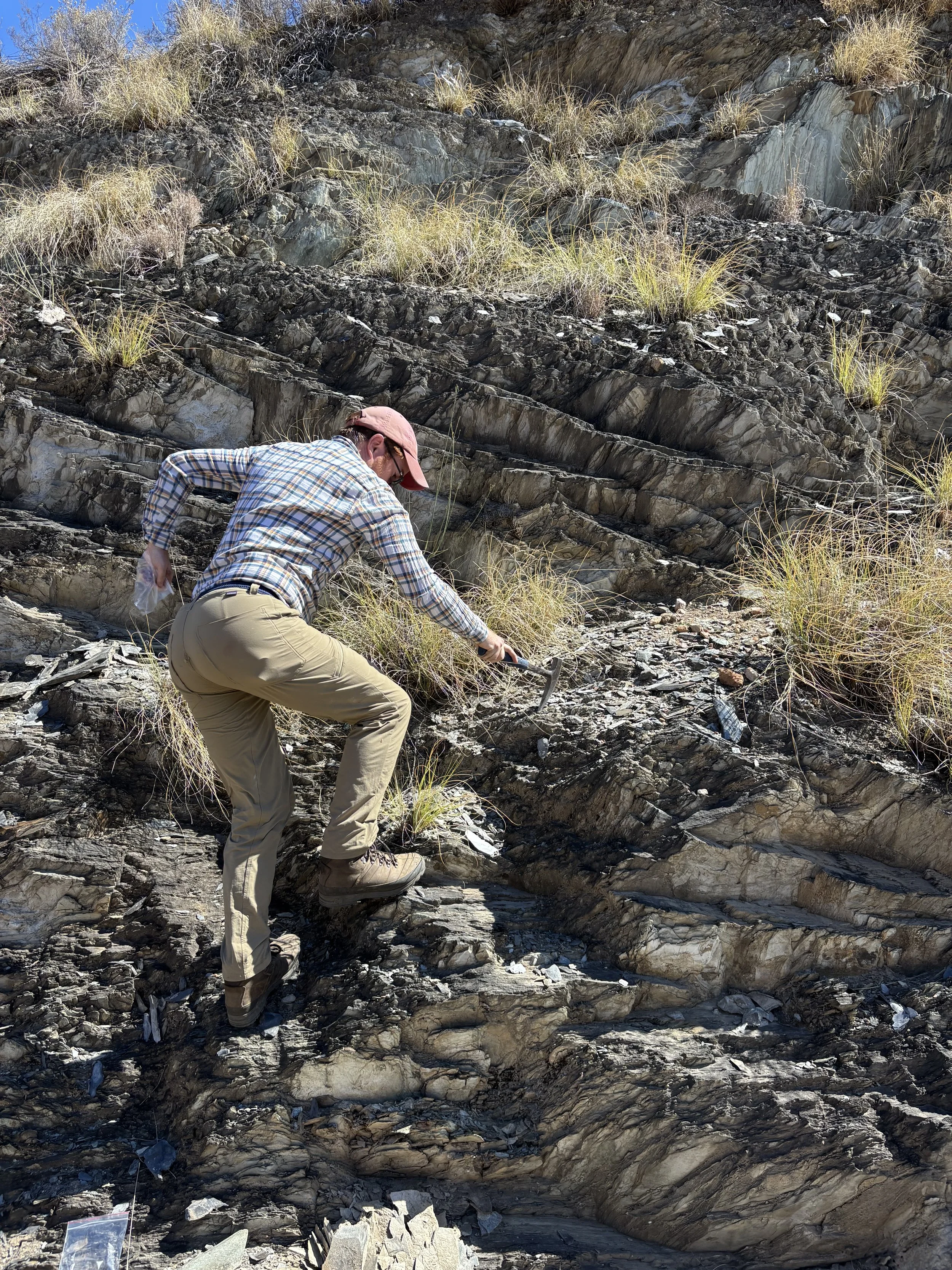 Dr Ross Anderson picking shales in the hopes of finding microfossils
