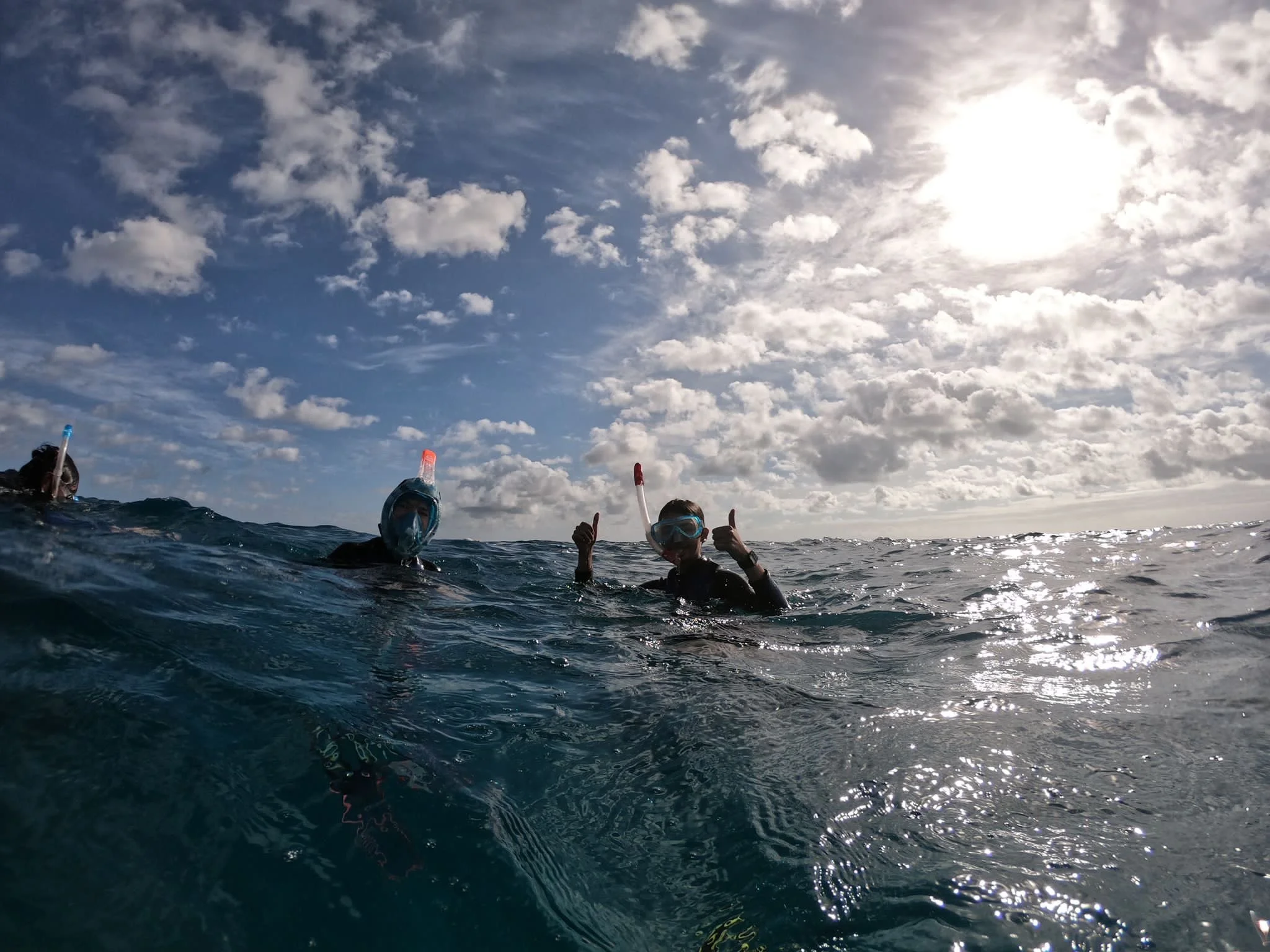 Snorkelling in the Sargasso Sea, Bermuda