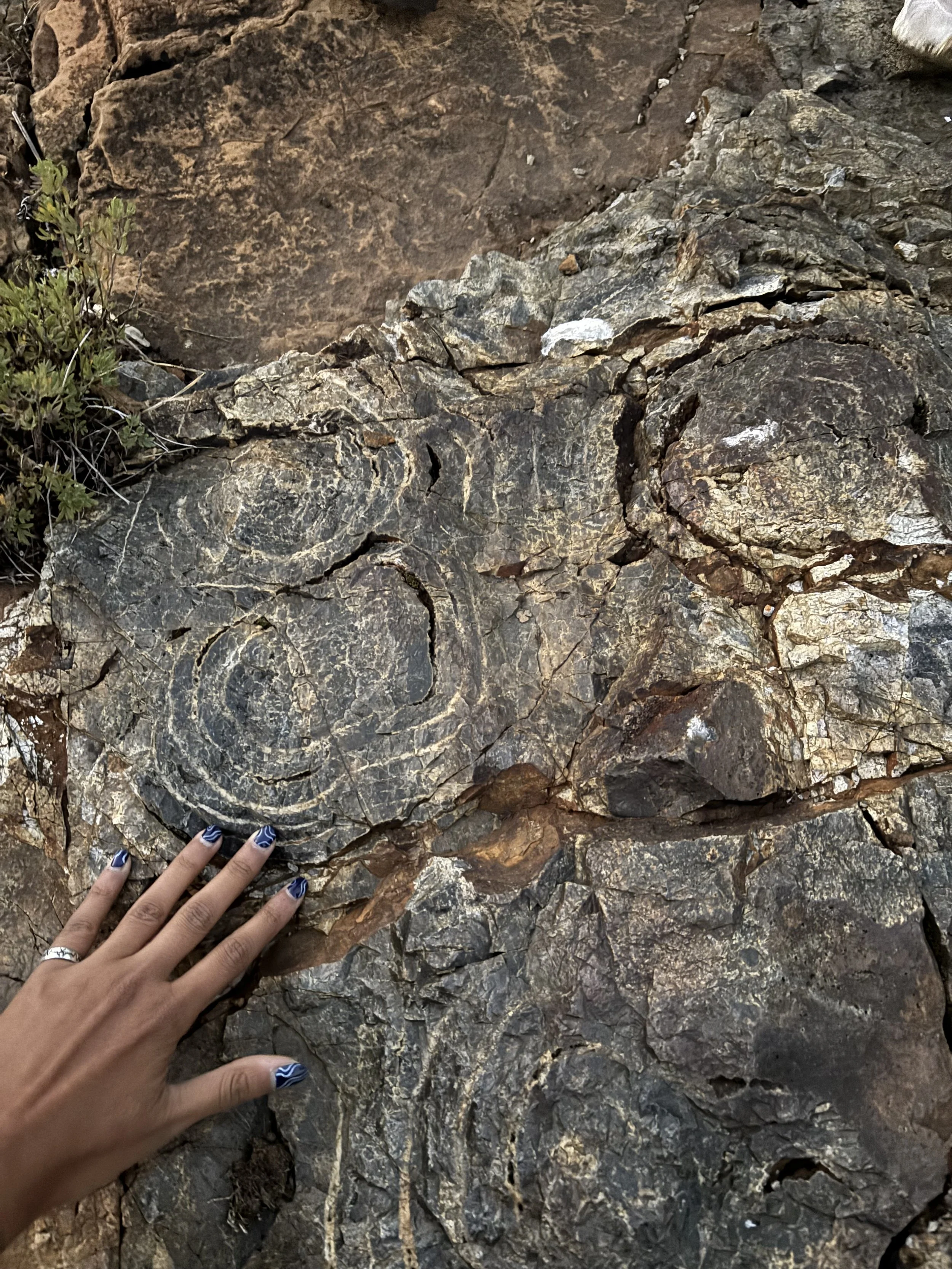 Gunflint Stromatolites at Kakabeka Falls