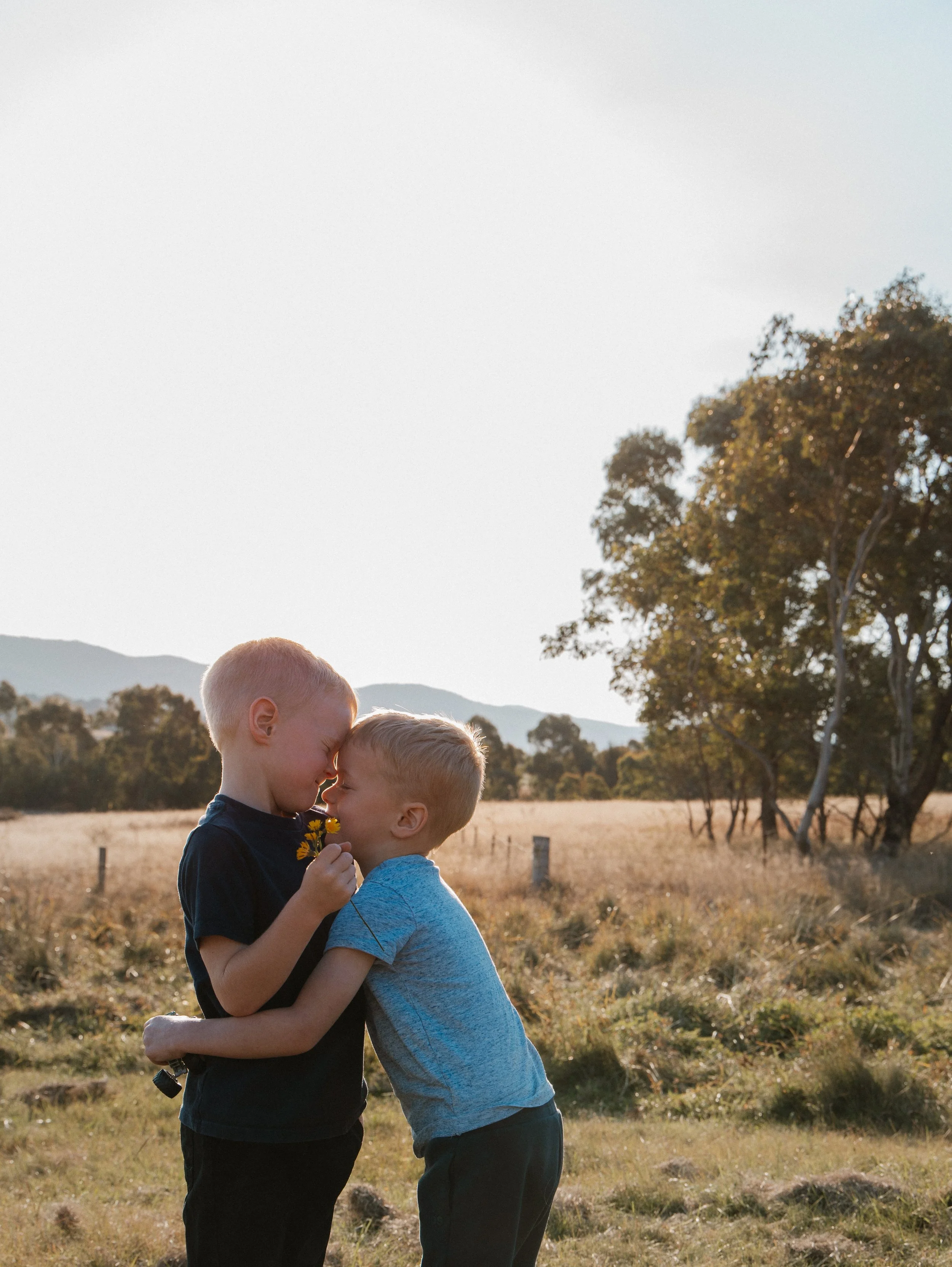 Two young boys embracing in a grassy field, holding a yellow flower, with trees and hills in the background.