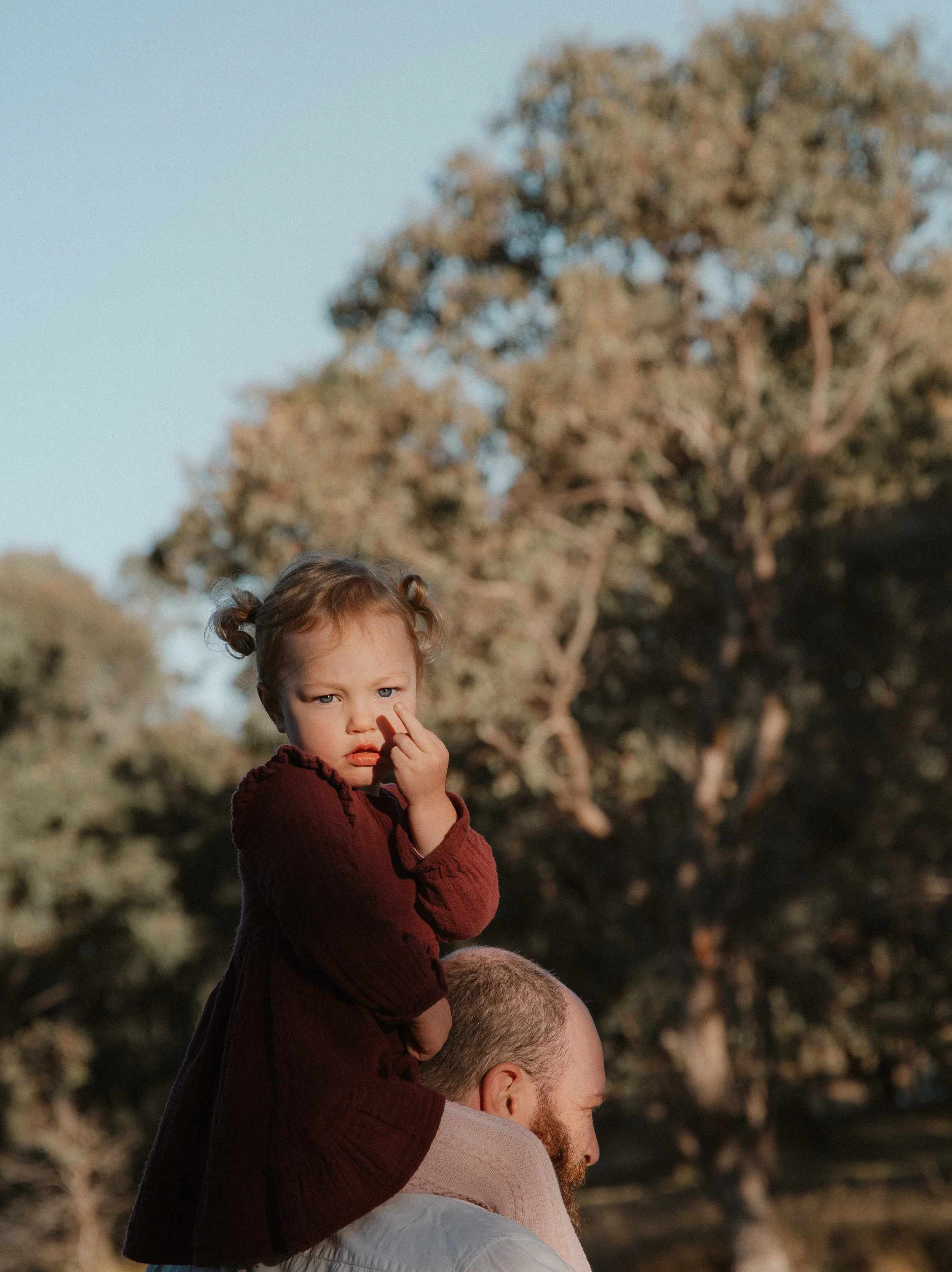 A young child with pigtails wearing a dark red dress sits on an adult's shoulders outdoors, surrounded by trees on a sunny day.