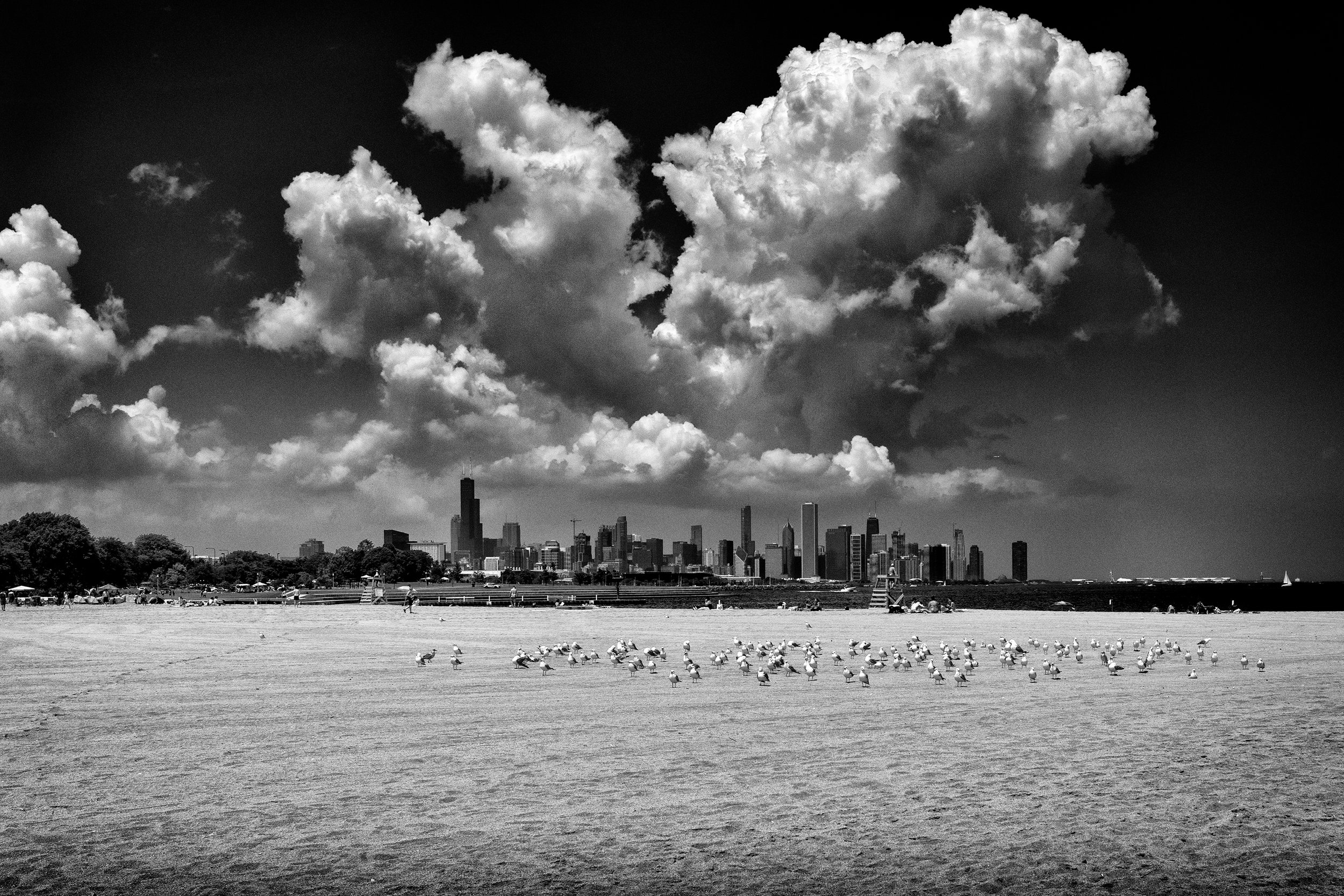 Beneath the Sheltering Sky