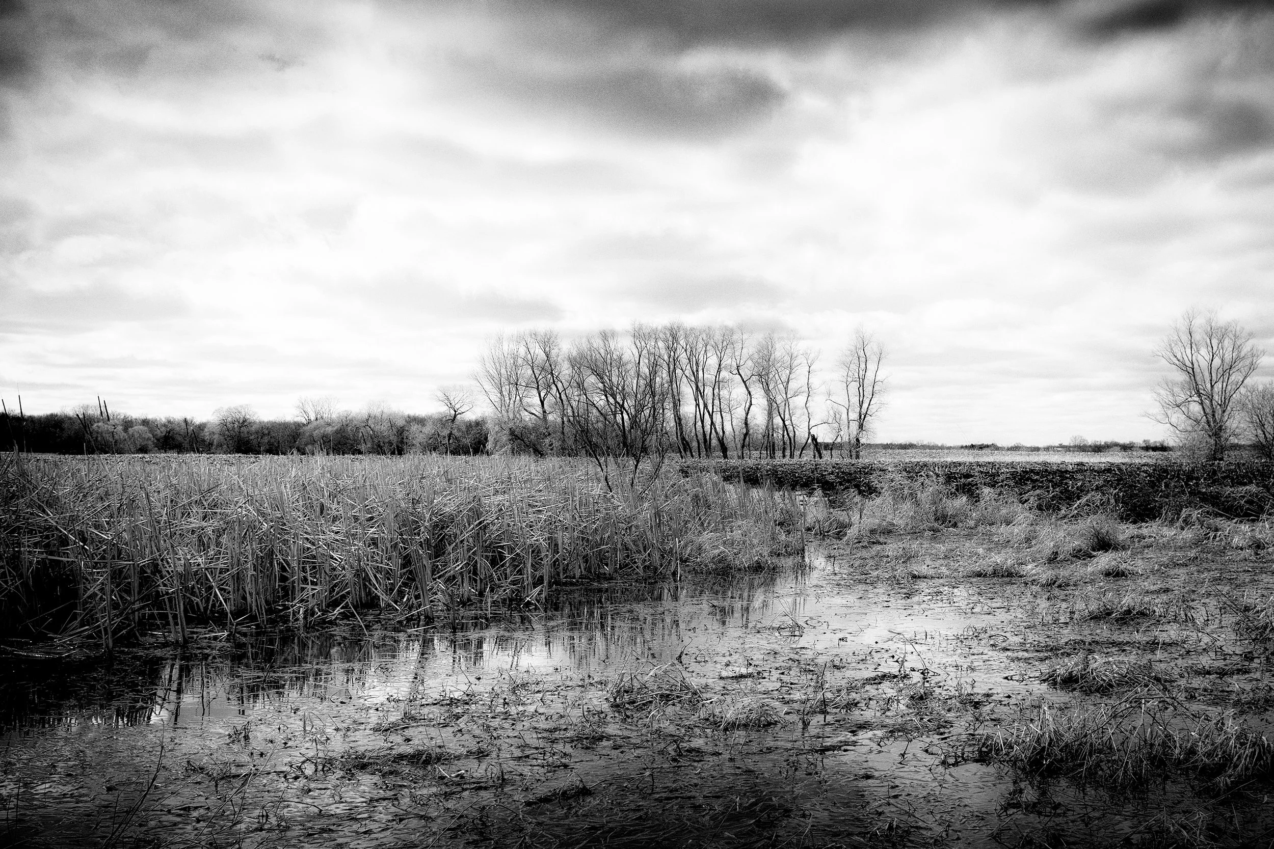 Diffusion Of Morning Light