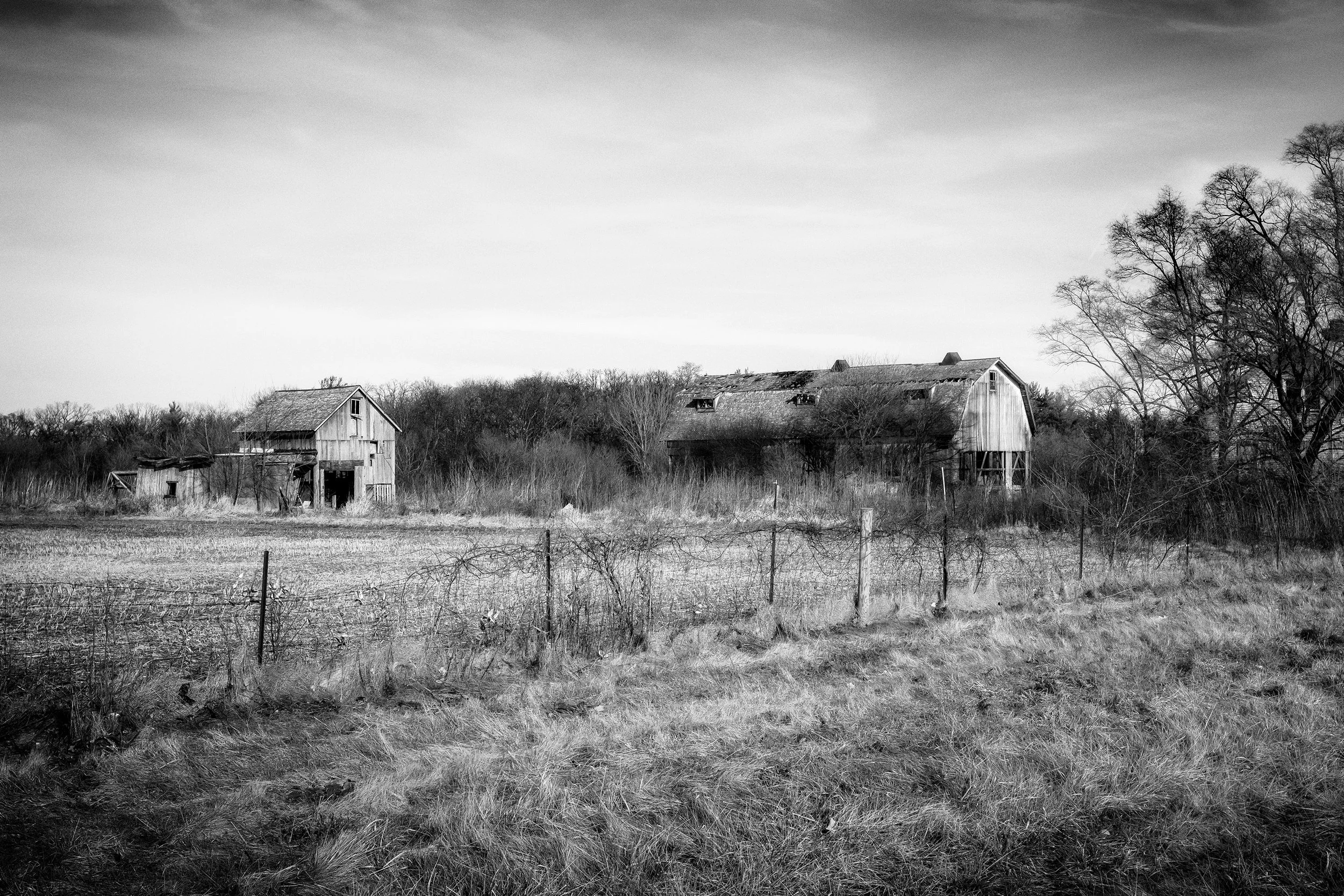 Everything Here Was Once Loved