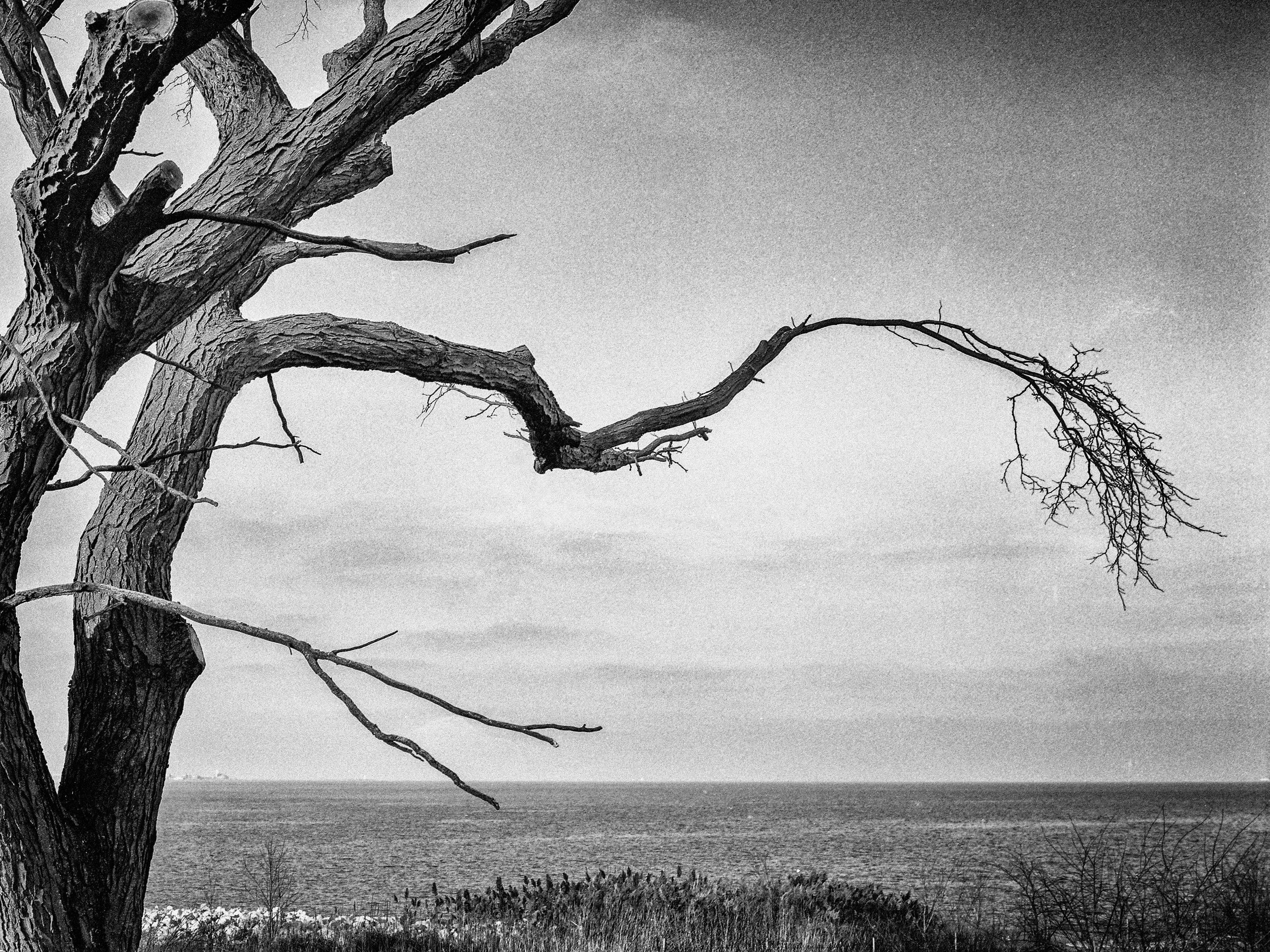 When You've Given Everything