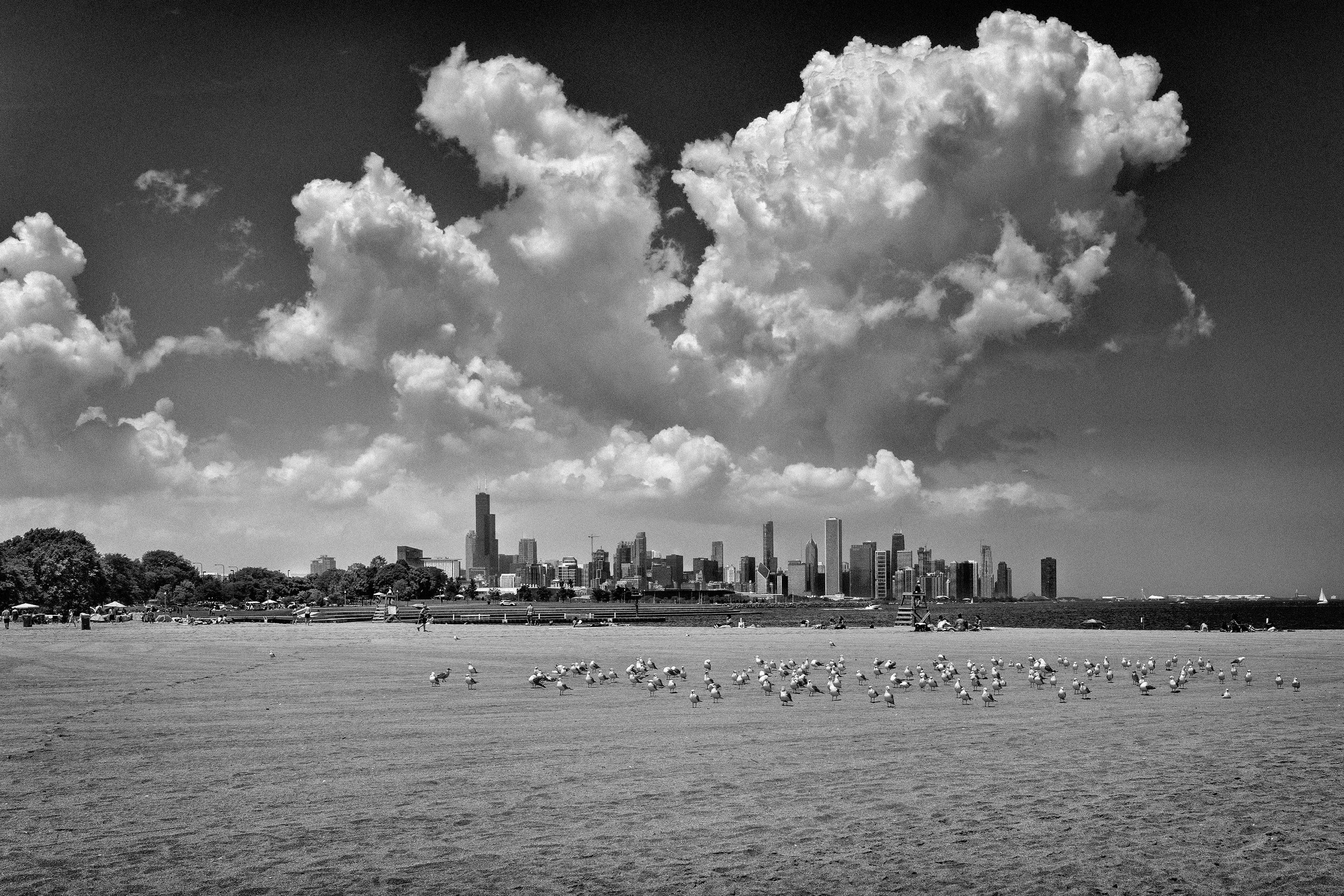 Beneath the Sheltering Sky