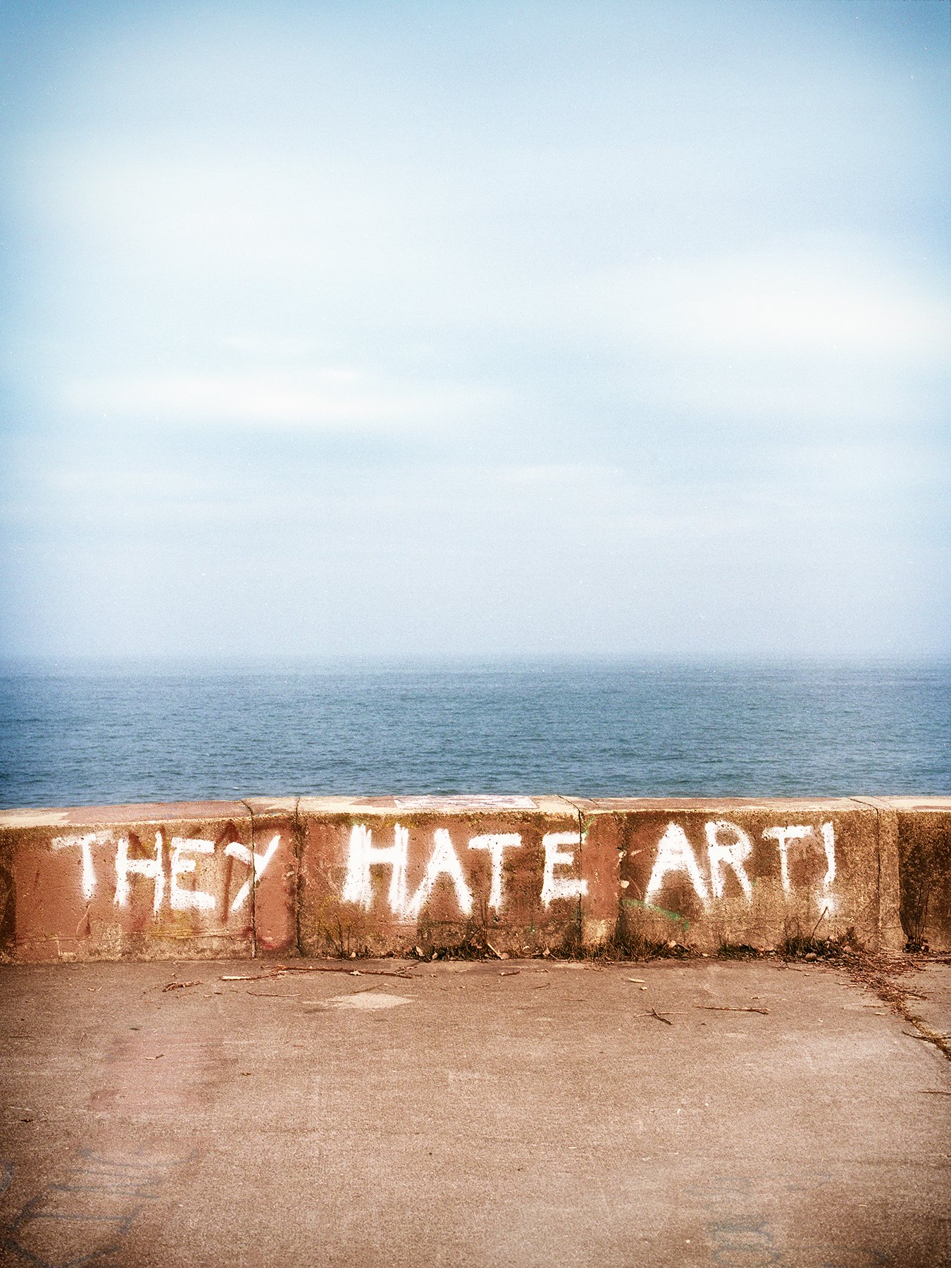 PLT-Scan20230311_008-They Hate Art Portra copy.jpg