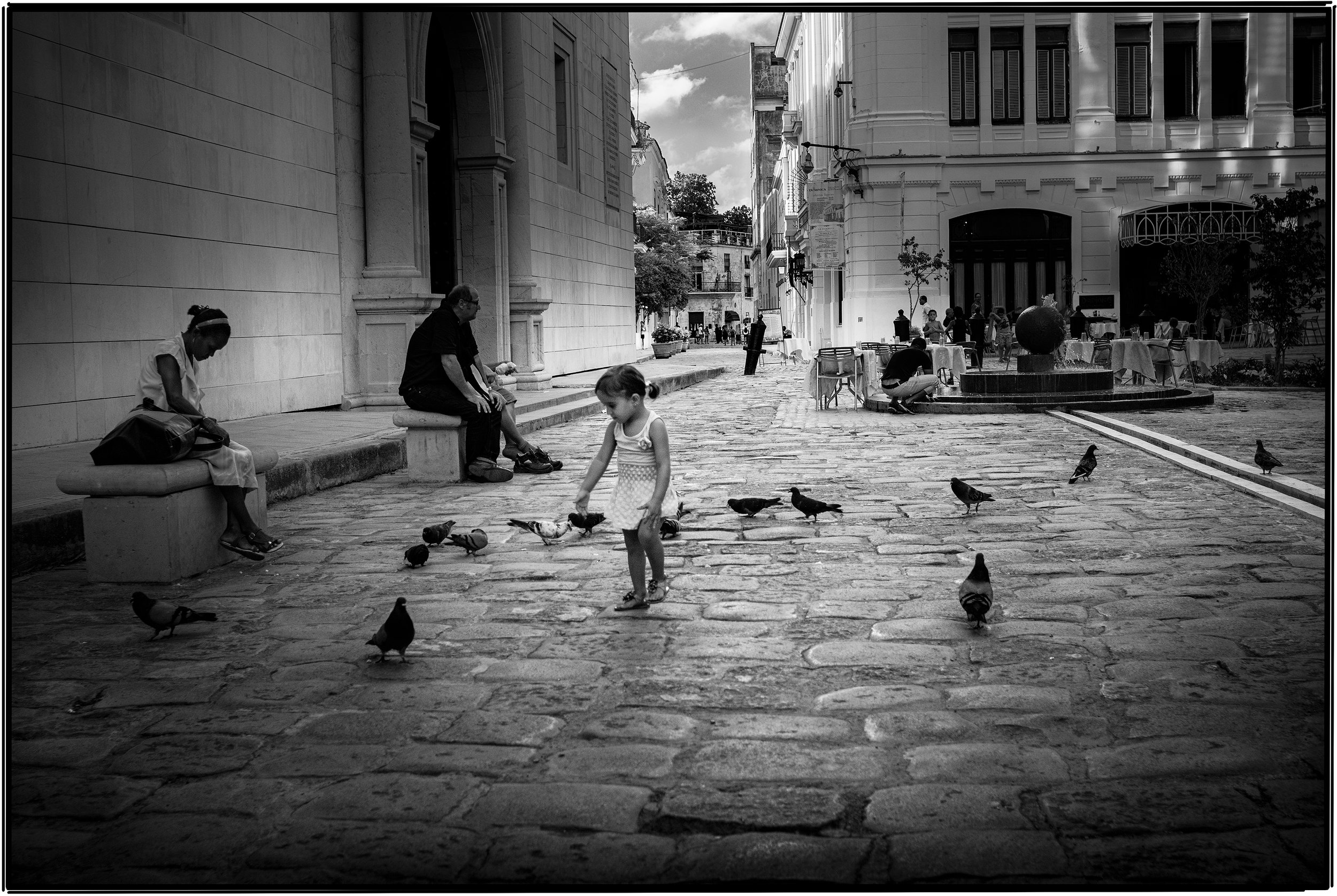 La Niñita Chasing Pigeons