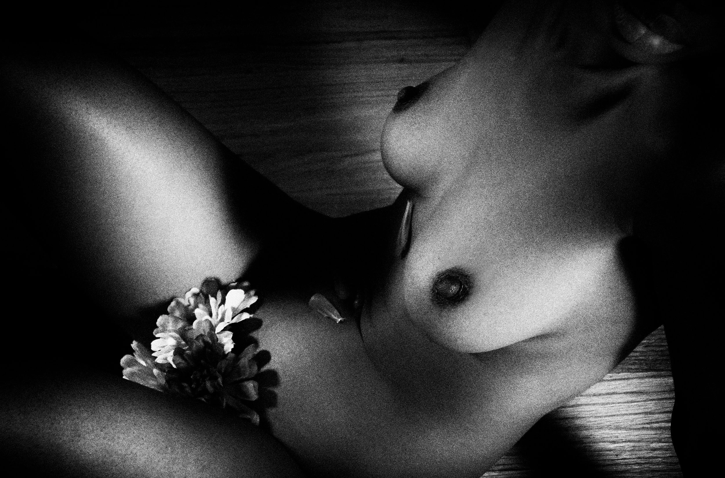 Ses Pétales en Noir et Blanc