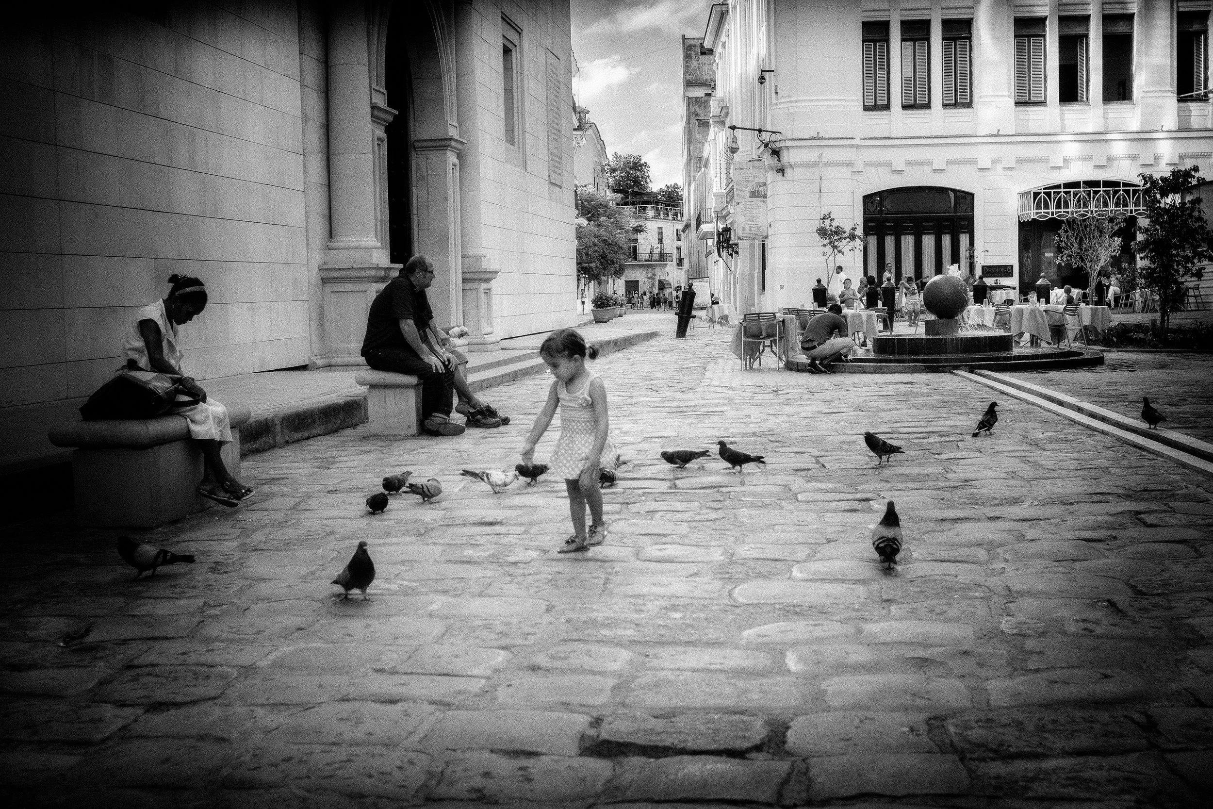 La Niñita Chasing Pigeons