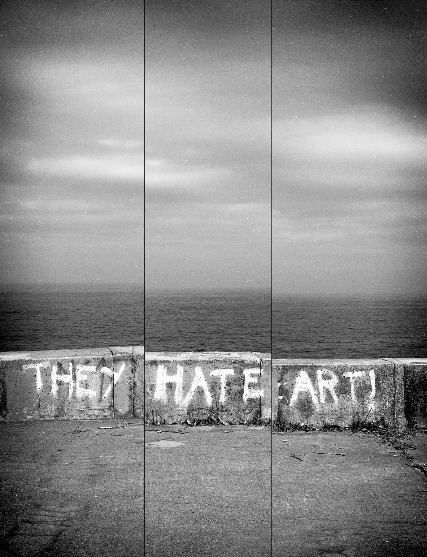 PLT-Scan20230311_008-They Hate Art Monochrome Split copy.jpg