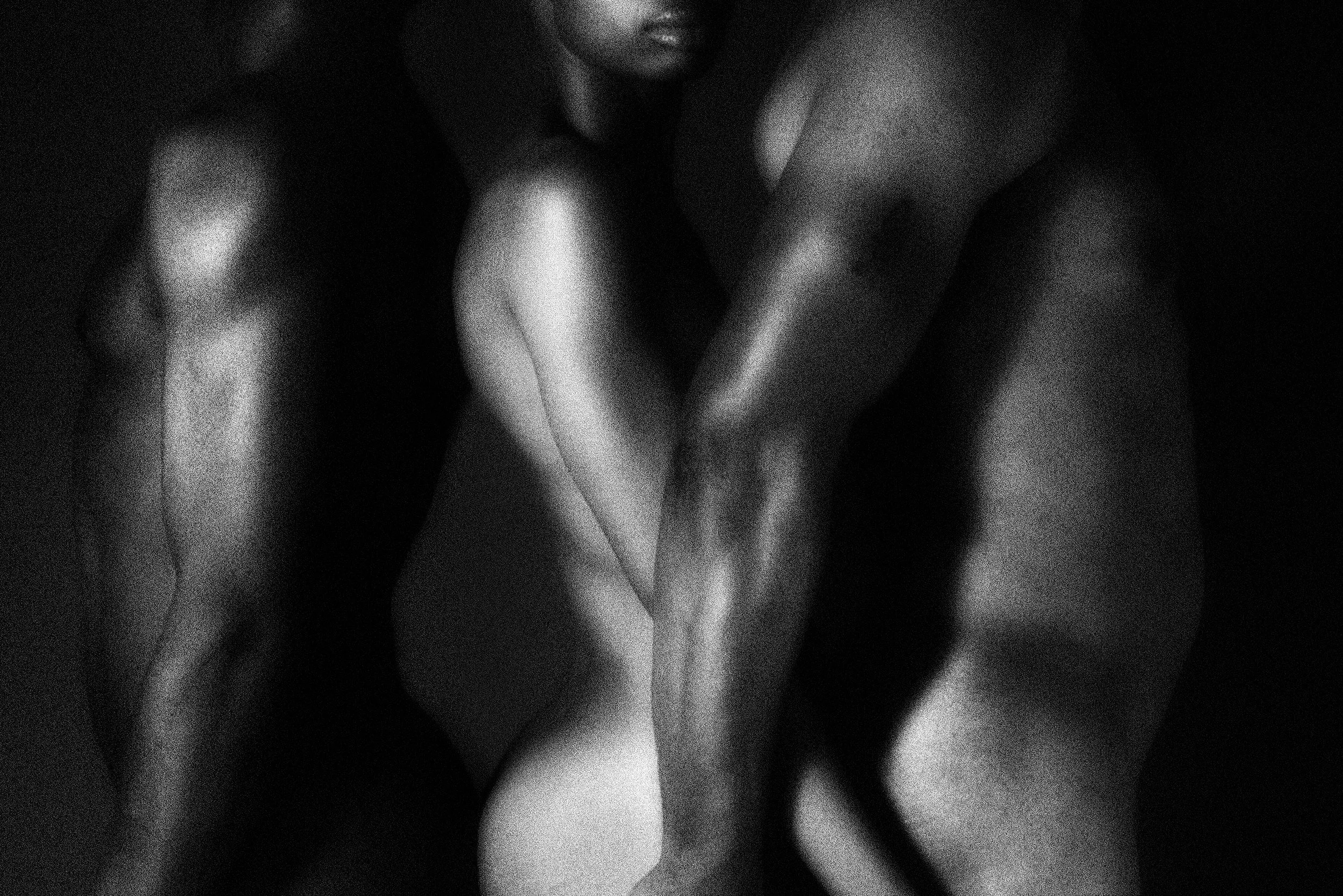 Sex. Form. Shadow. Light.