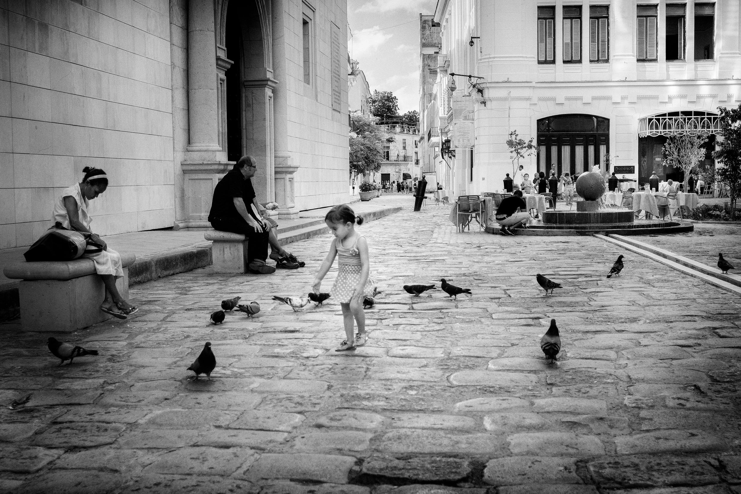 _IMG0432-2026-La Niñita Chasing Pigeons.jpg