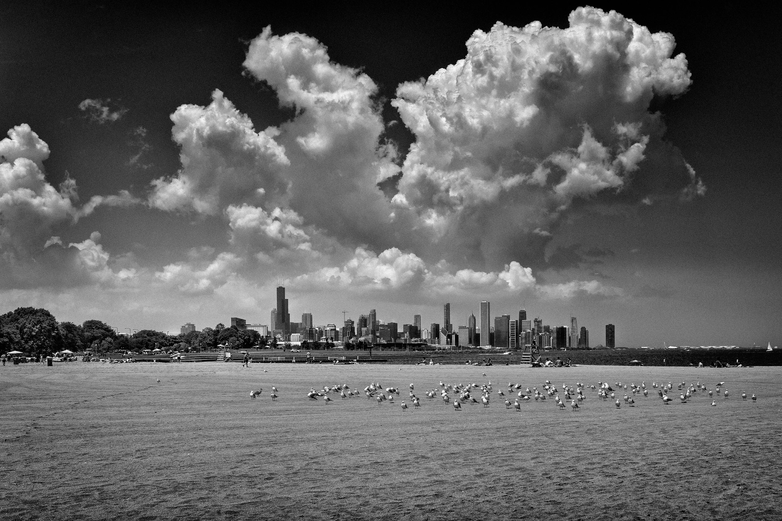 Beneath the Sheltering Sky