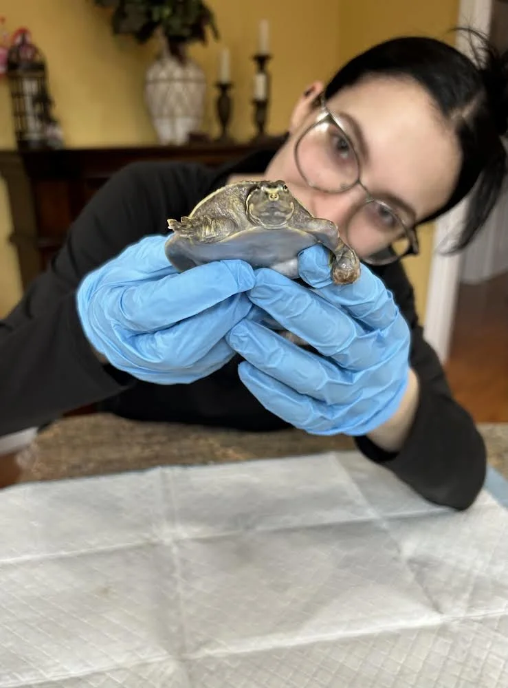 WILD EXOTICS ANIMAL REFUGE