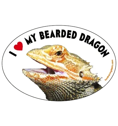 I LOVE MY BEARDED DRAGON CAR MAGNET