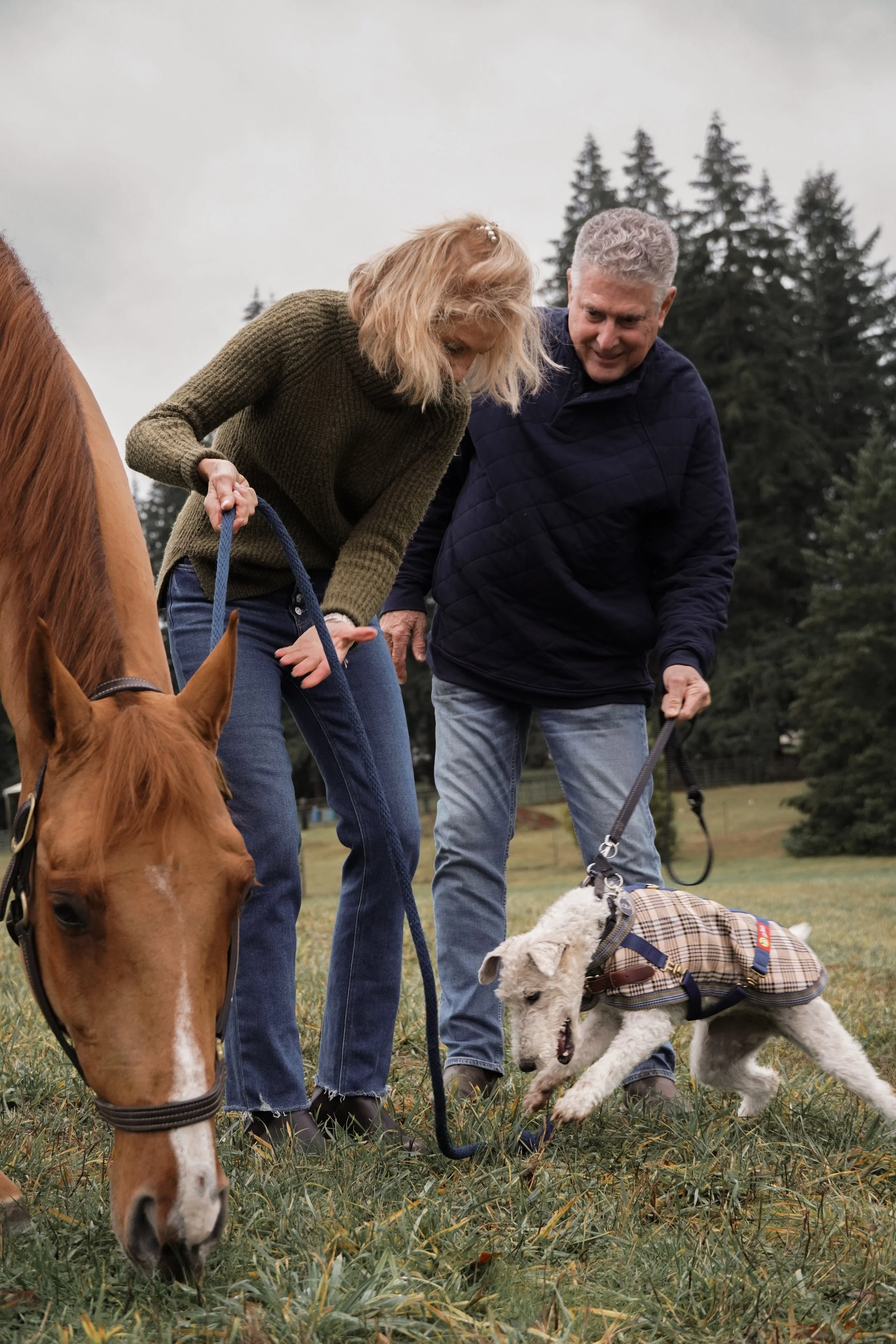 kerri-glen-generations-horse-shoot-31.jpg