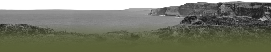 A black and white panoramic view of a coastal landscape with cliffs, grassy foreground, and ocean in the background - elopement in Ireland location