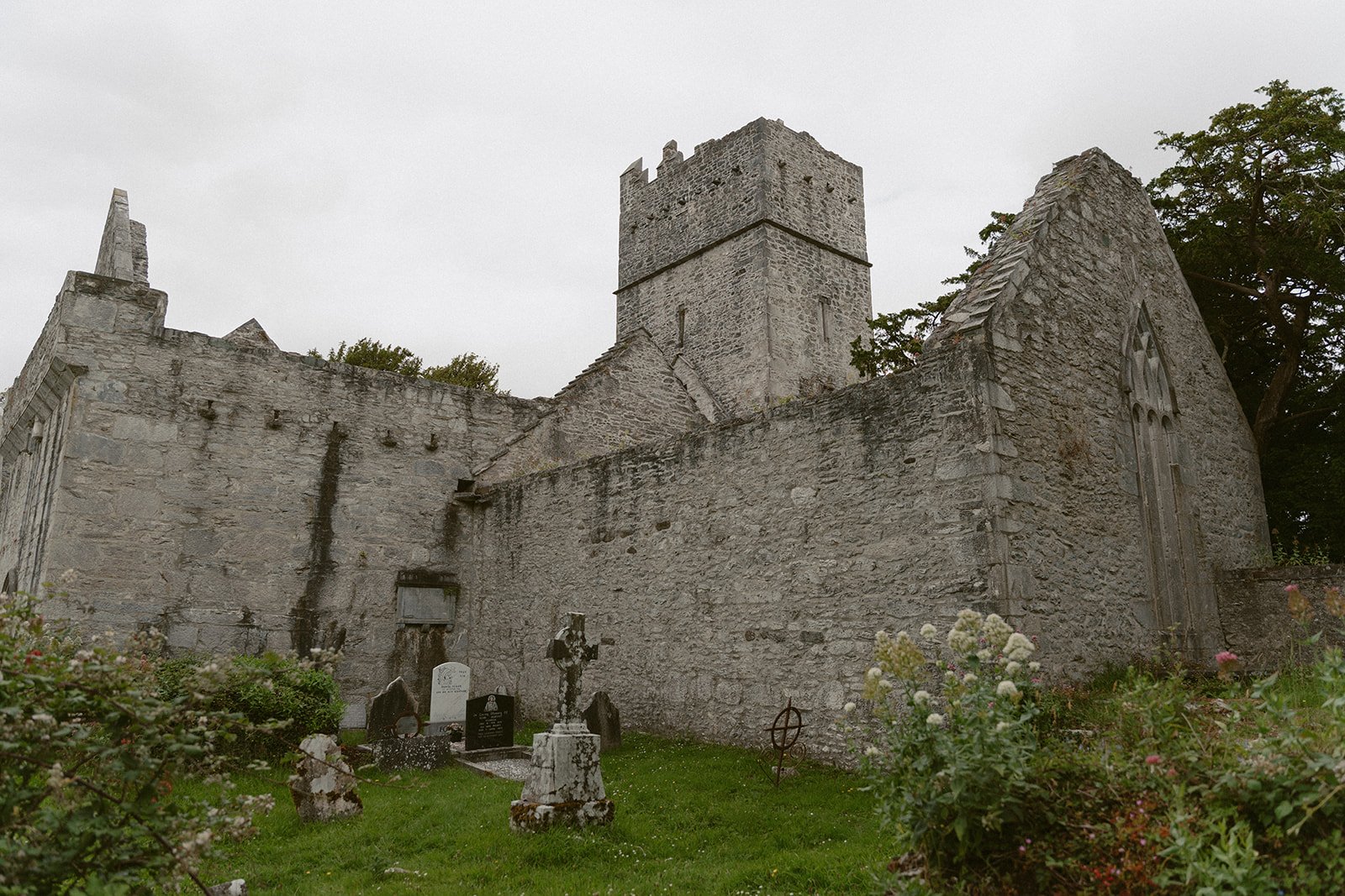 MuckrossAbbey3.jpg