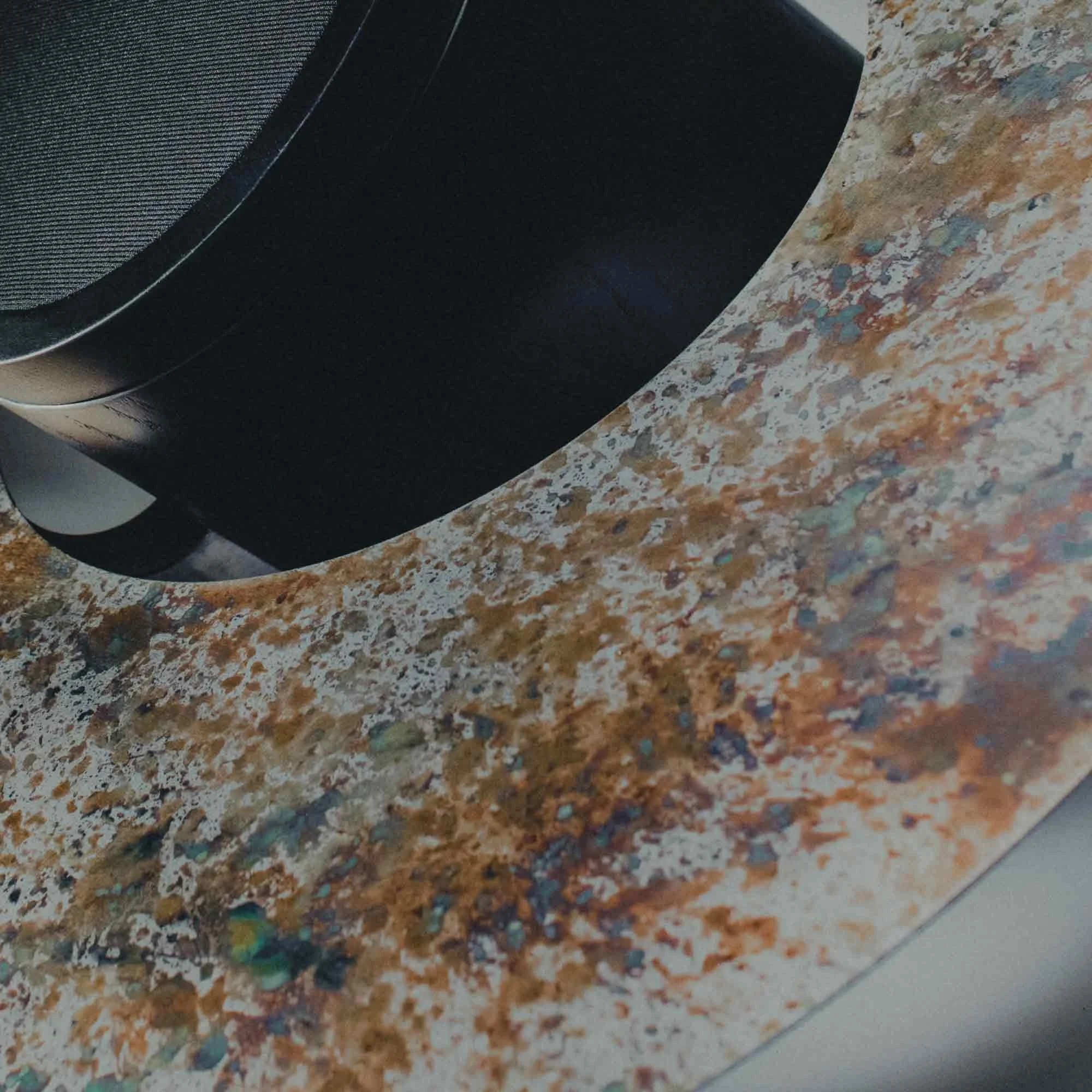 SaturniaF_Autumn spots.jpg