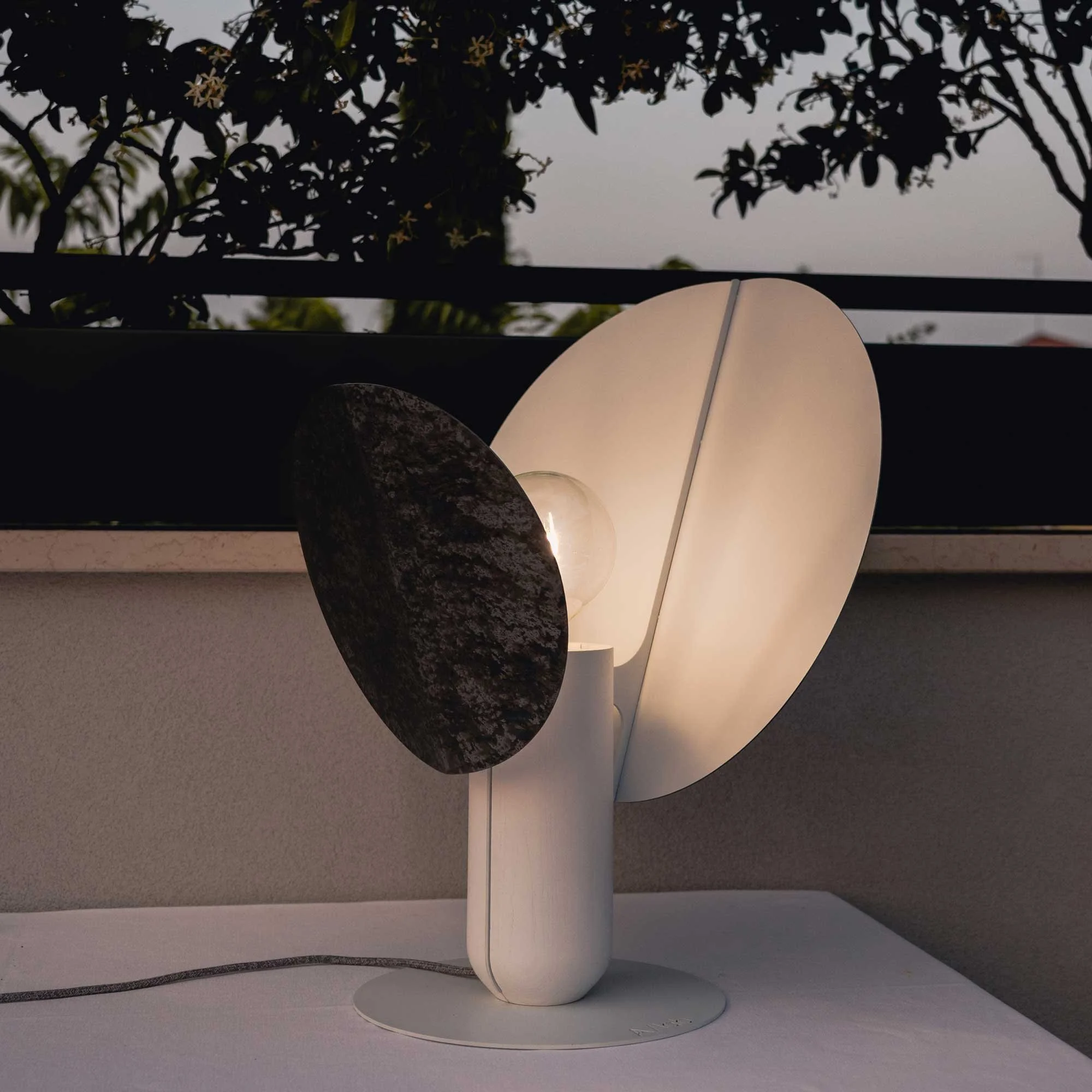 Ficus_Autumn spots.jpg