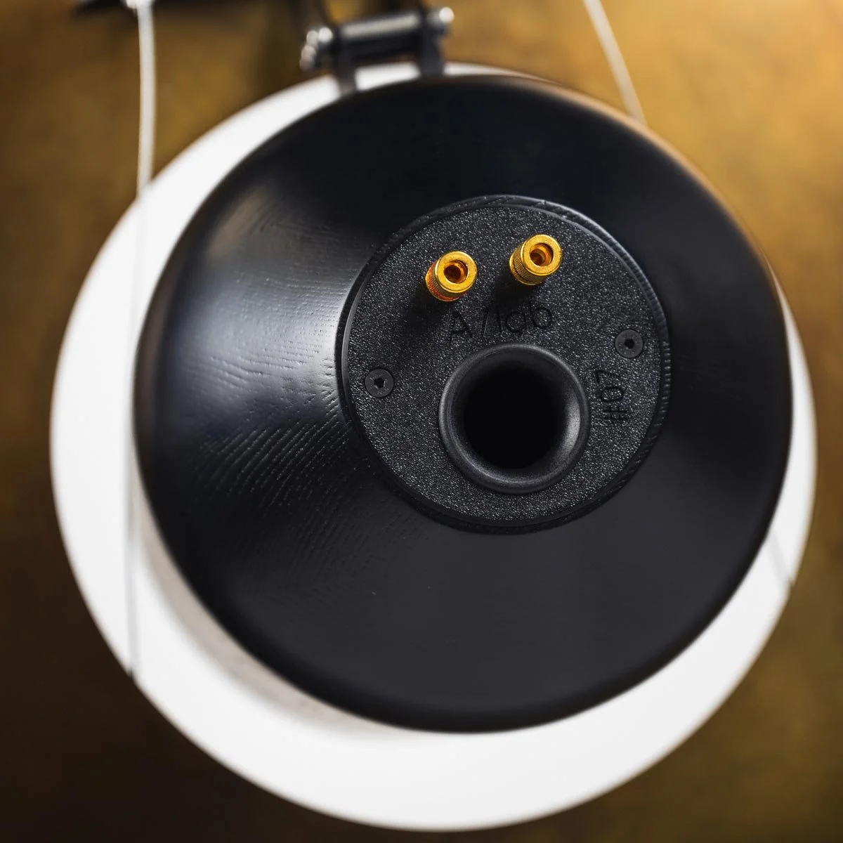 SATURNIA FLYING (suspension audio speaker)