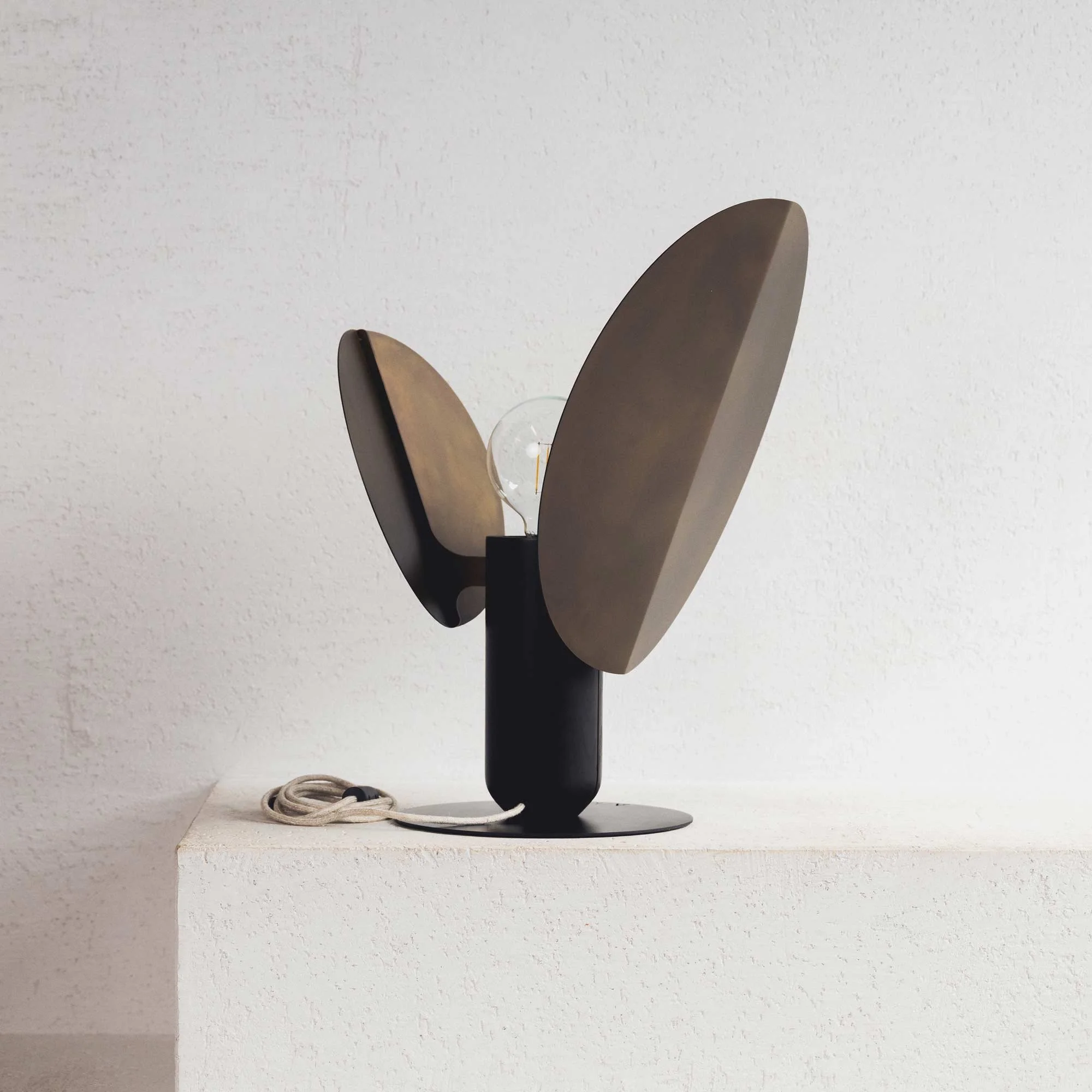 Ficus_Sunset gold.jpg