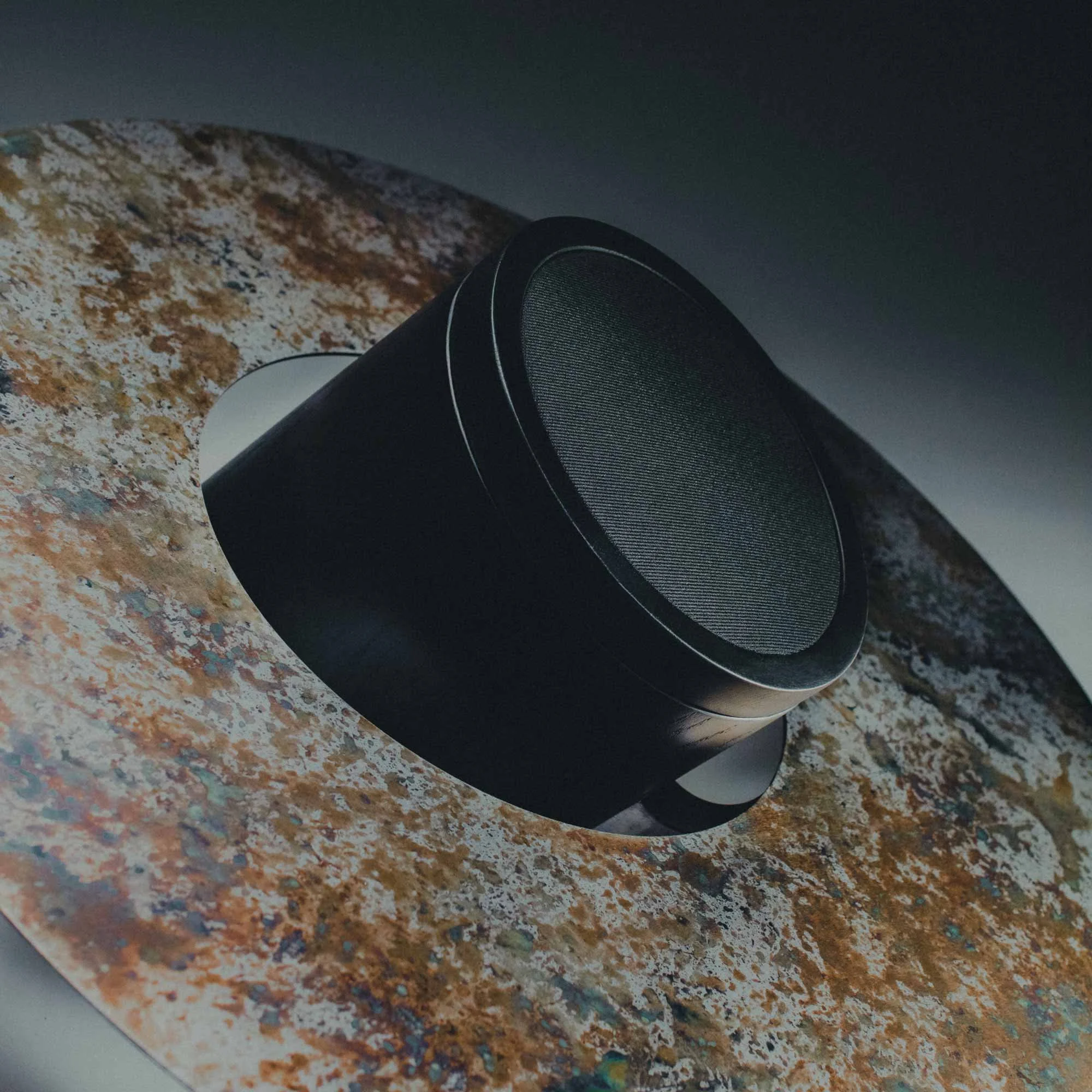 Saturnia_Autumn spots.jpg