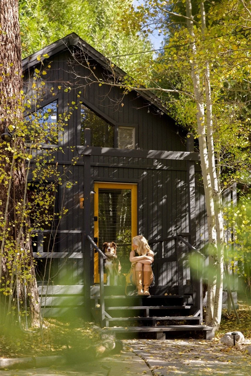 323A68822 Large.jpeg